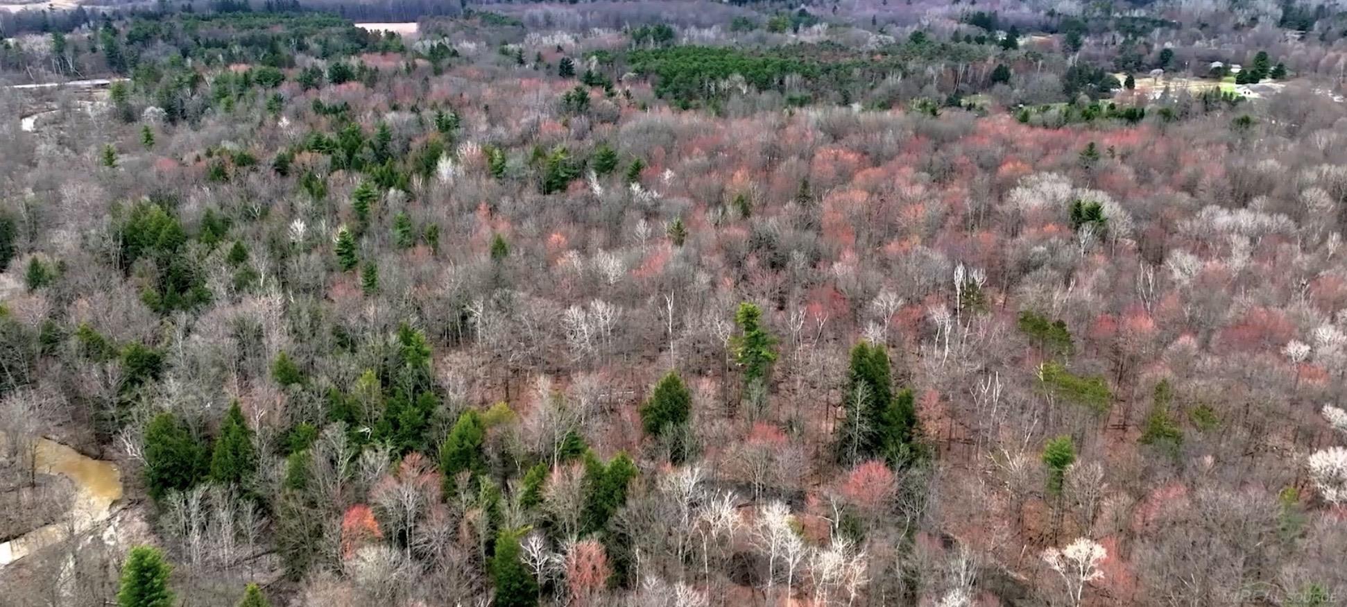 Rynn Road North Street, MI 48049 - Photo 5 of 15