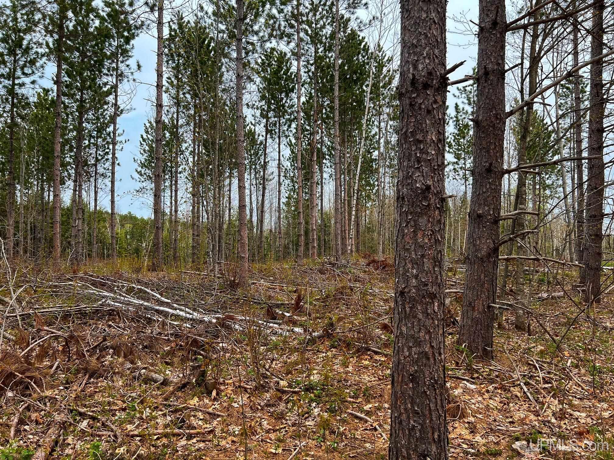 Tbd80 Tbd80 Off Baraga Plains Road Baraga, MI 49908 - Photo 16 of 25 Gallery Image 16