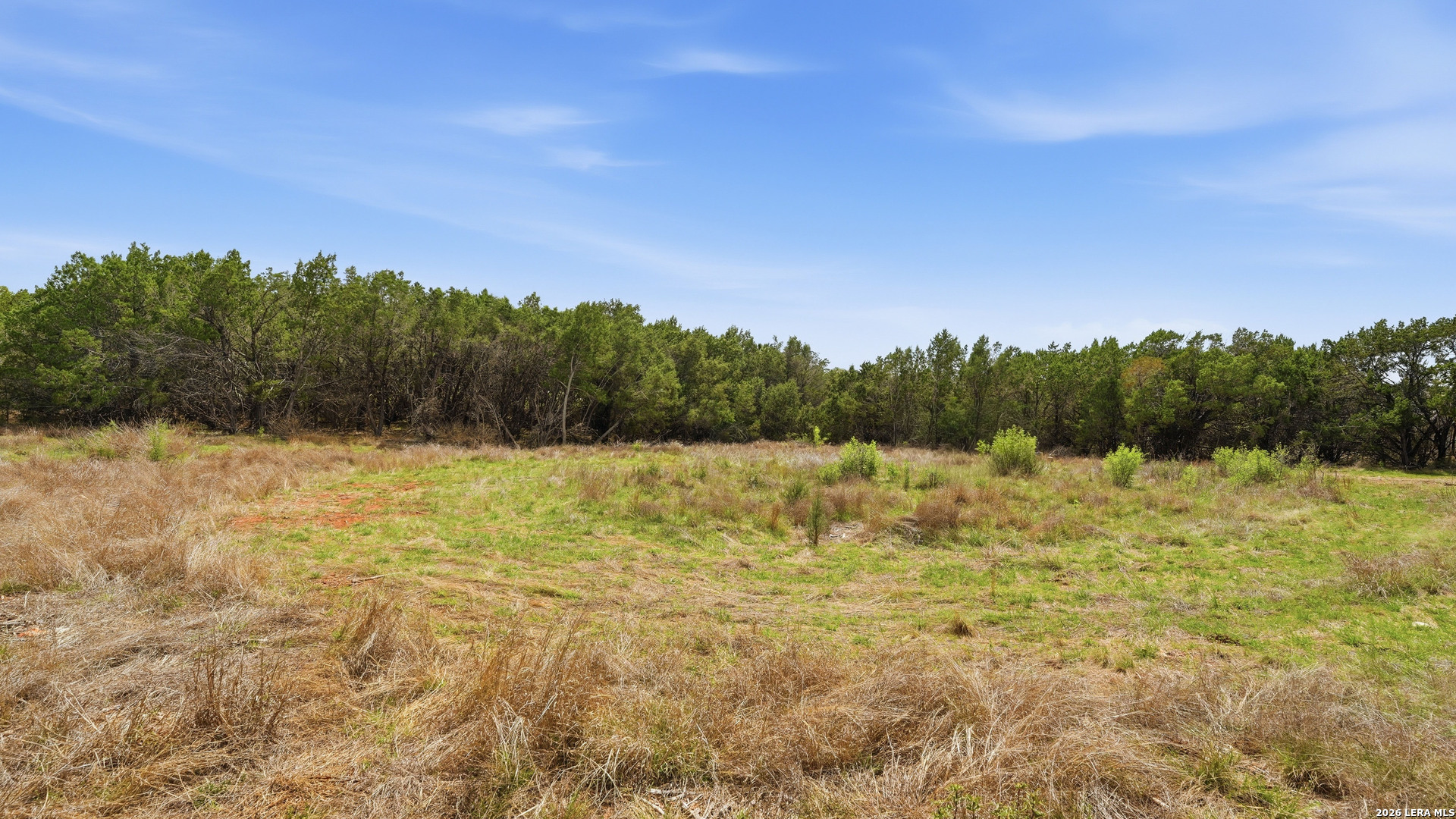 27230 Eichenbaum Road New Braunfels, TX 78132 - Photo 5 of 38 a view of a yard