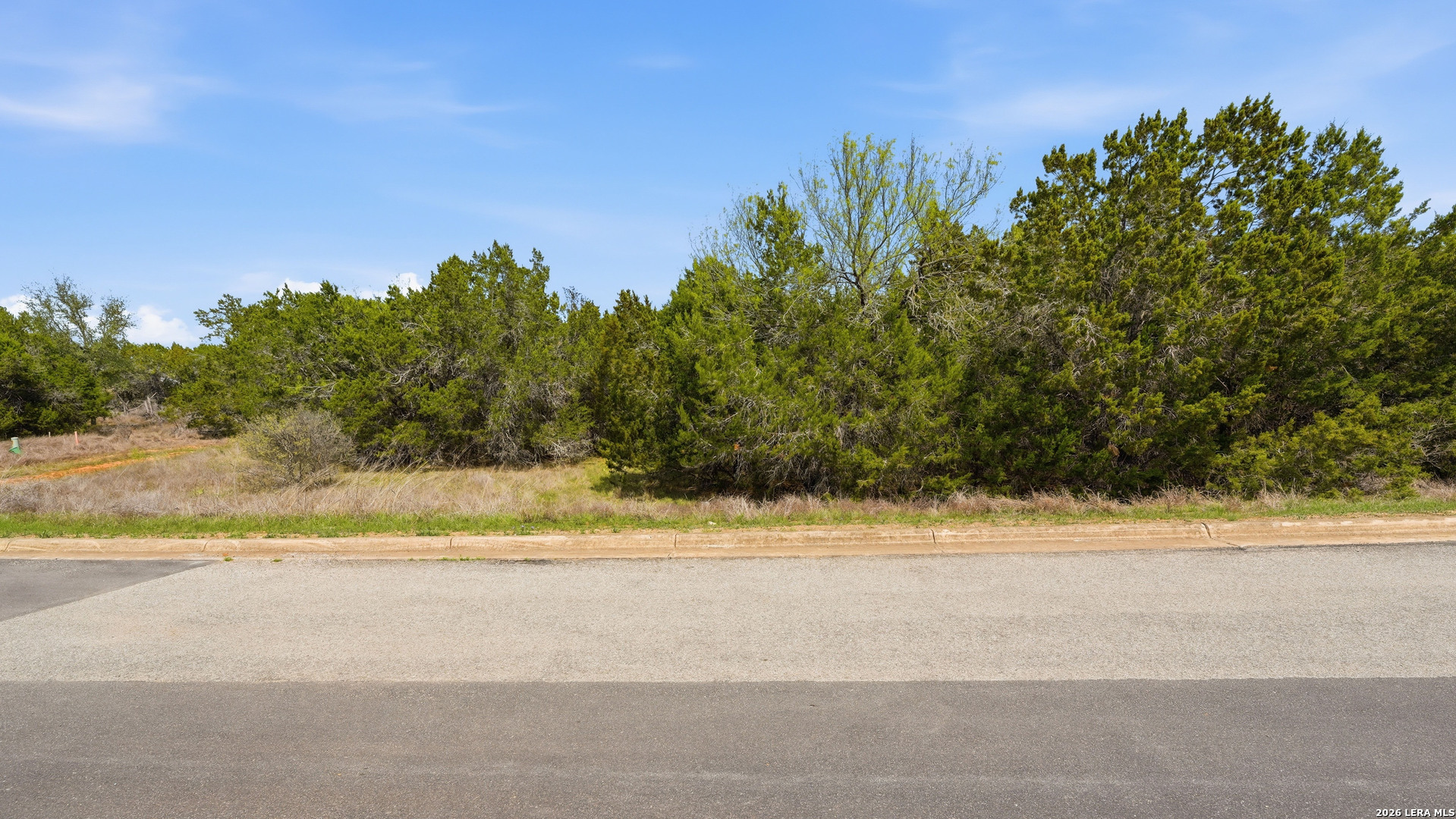 27230 Eichenbaum Road New Braunfels, TX 78132 - Photo 8 of 38 a view of a yard with a trees