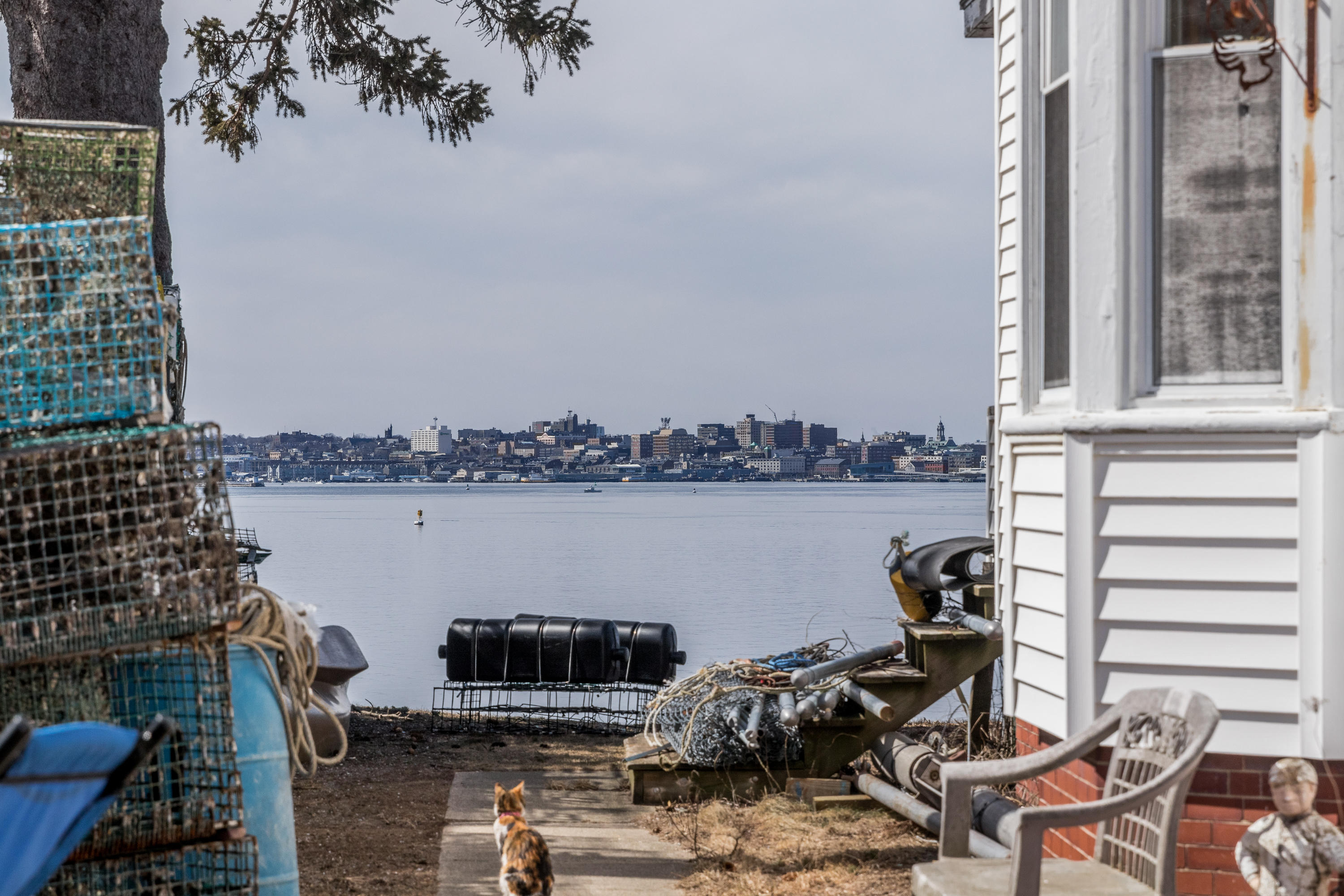 20 Cityview Road Portland, ME 04108 - Photo 13 of 76 20210316WH-51066