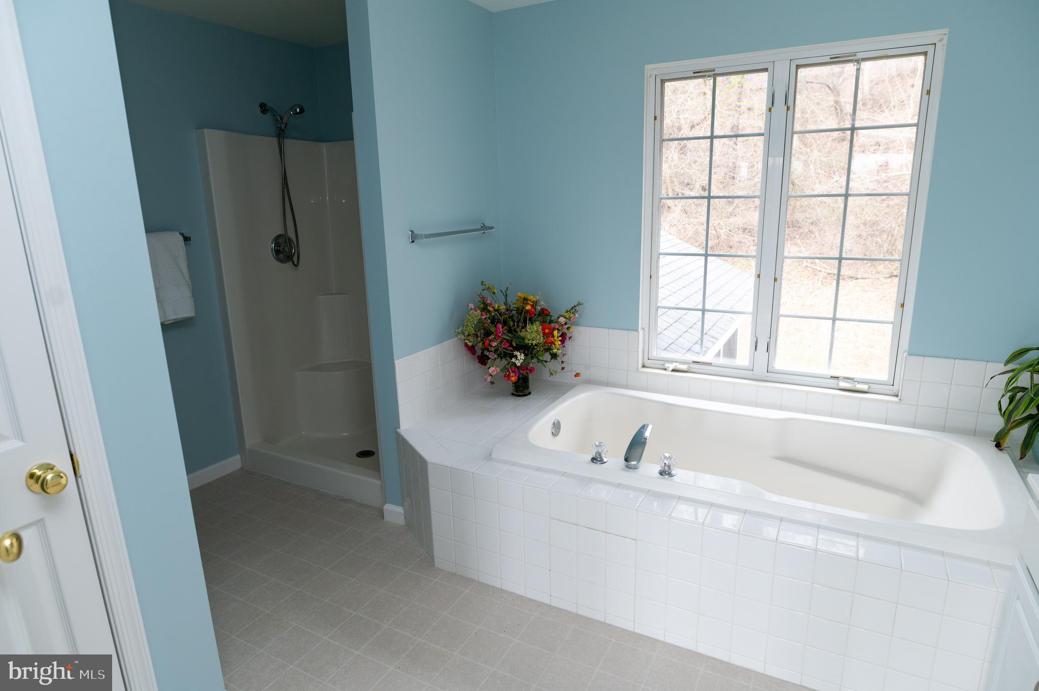 2076 Old Fridinger Mill Road Westminster, MD 21157 - Photo 40 of 76 Master Bath