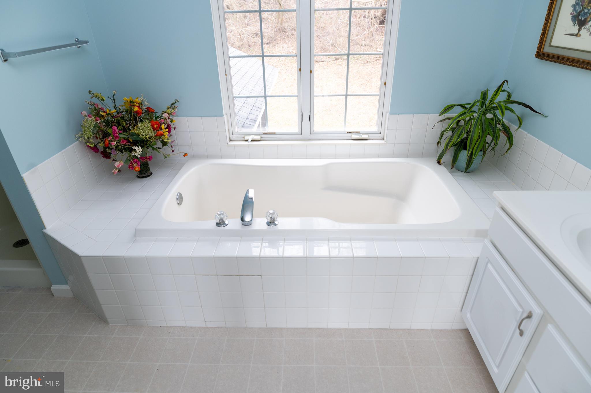 2076 Old Fridinger Mill Road Westminster, MD 21157 - Photo 41 of 76 Master Bath Soaking
