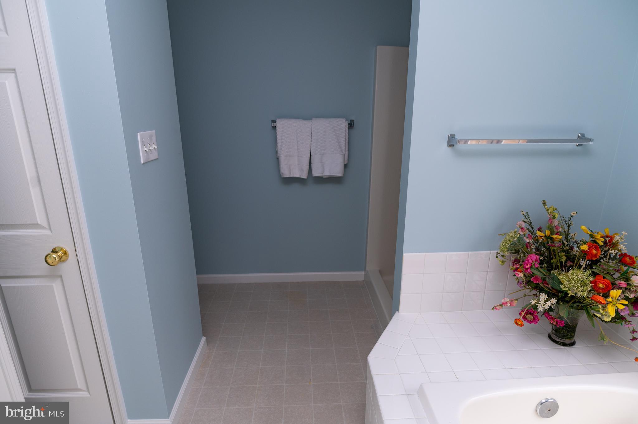 2076 Old Fridinger Mill Road Westminster, MD 21157 - Photo 49 of 76 Soaking Tub Separate Shower