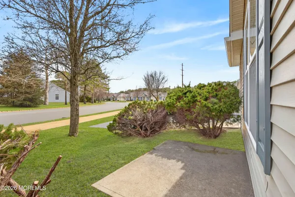 a view of a yard with plants
