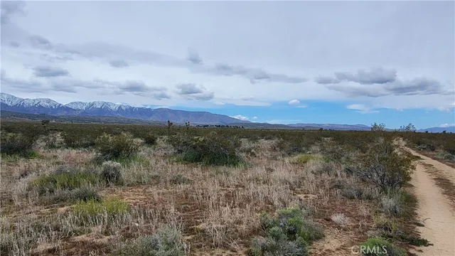 an aerial view of residential houses and trees