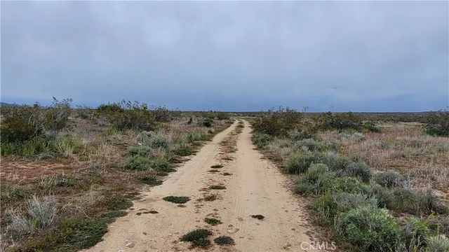 a view of a pathway with a yard