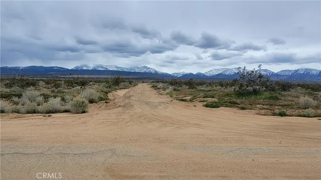 a view of a dry yard with an outdoor space