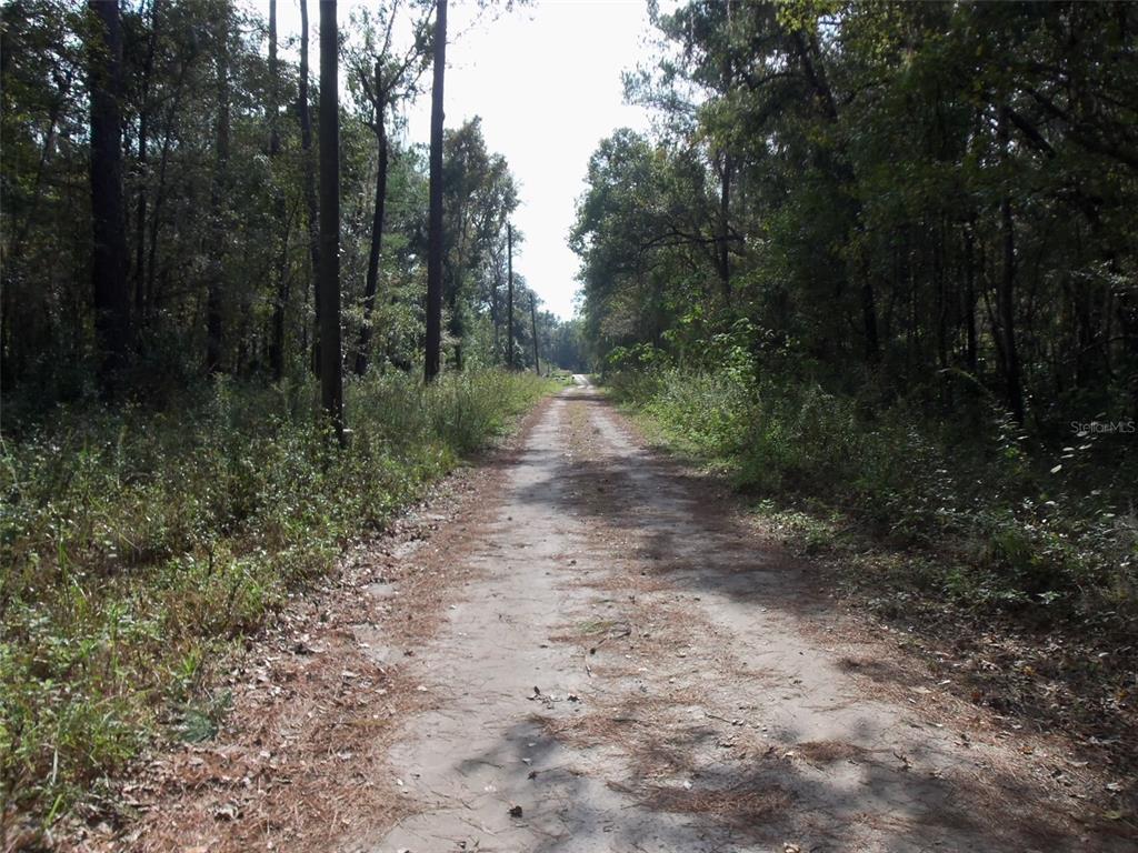 8 Southwest 15th Street Ocala, FL 34481 - Photo 1 of 1