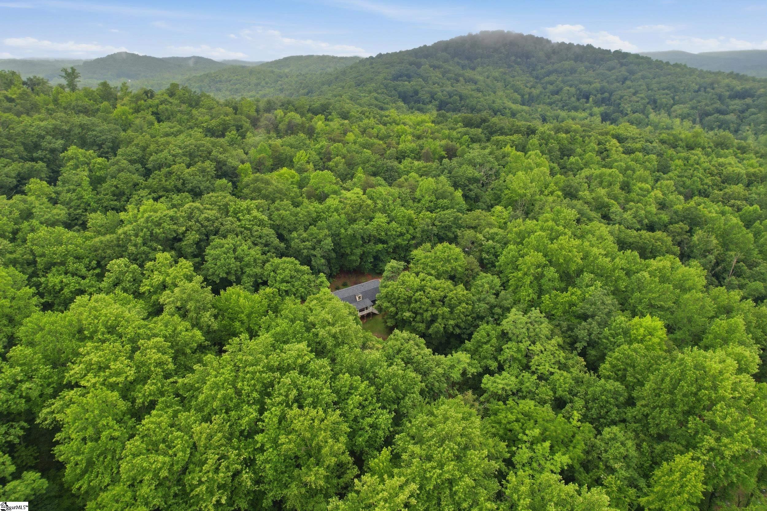 211 Narrow Way Travelers Rest, SC 29690 - Photo 33 of 47