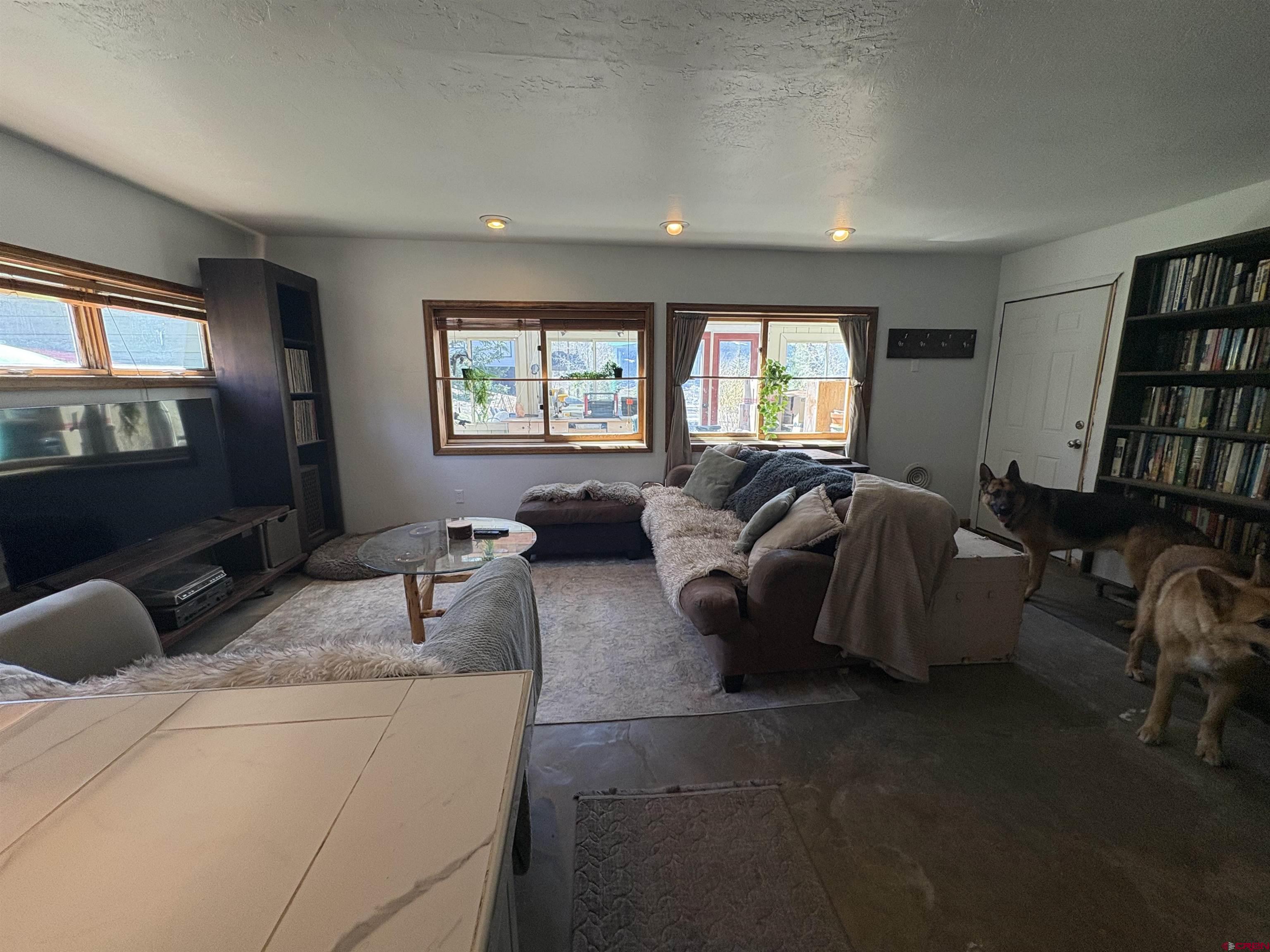 26 Castle Road, Unit 3 Crested Butte, CO 81225 - Photo 14 of 32 a bed room with furniture and a window