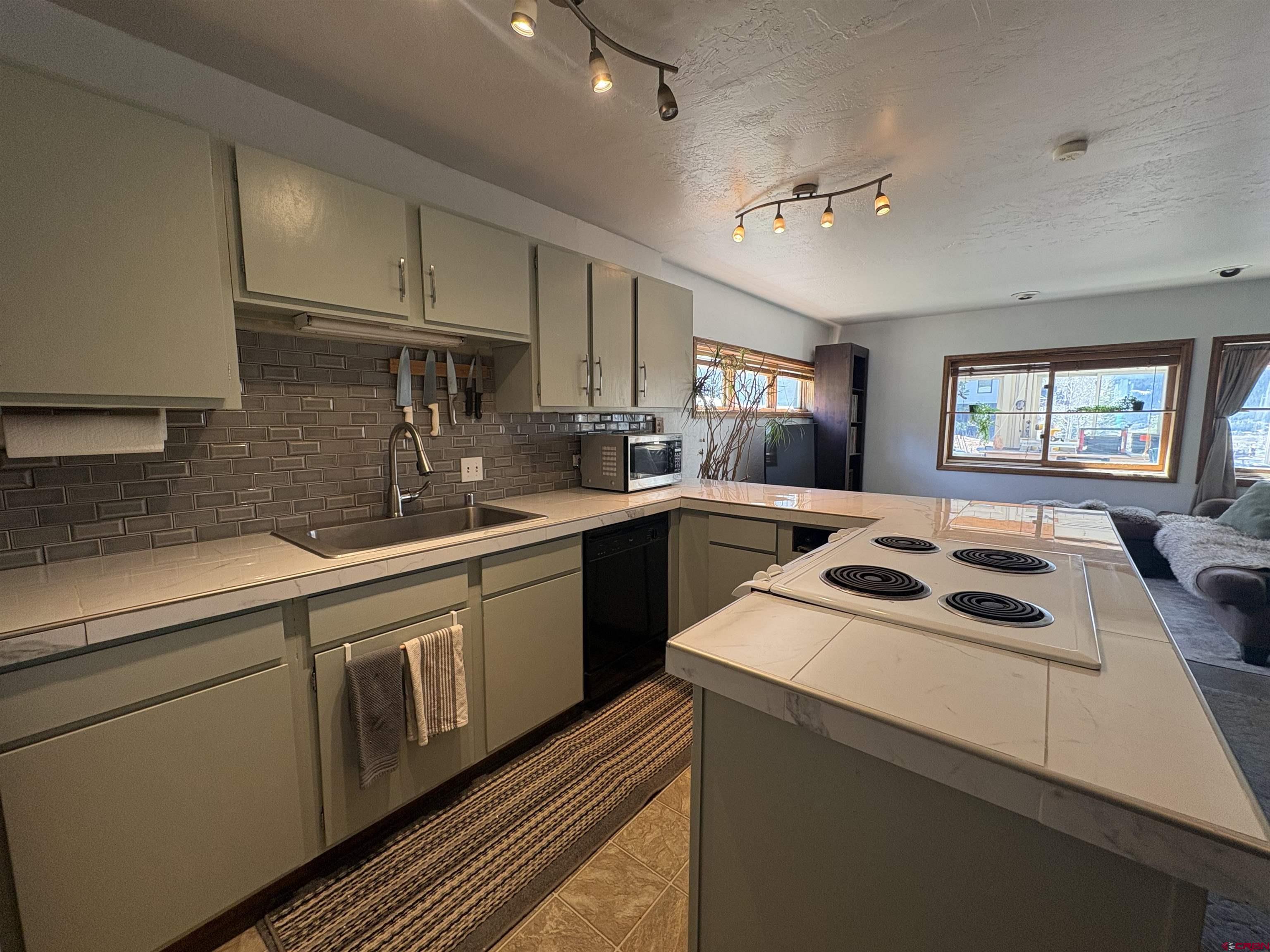 26 Castle Road, Unit 3 Crested Butte, CO 81225 - Photo 2 of 32 a kitchen with a sink stove and cabinets