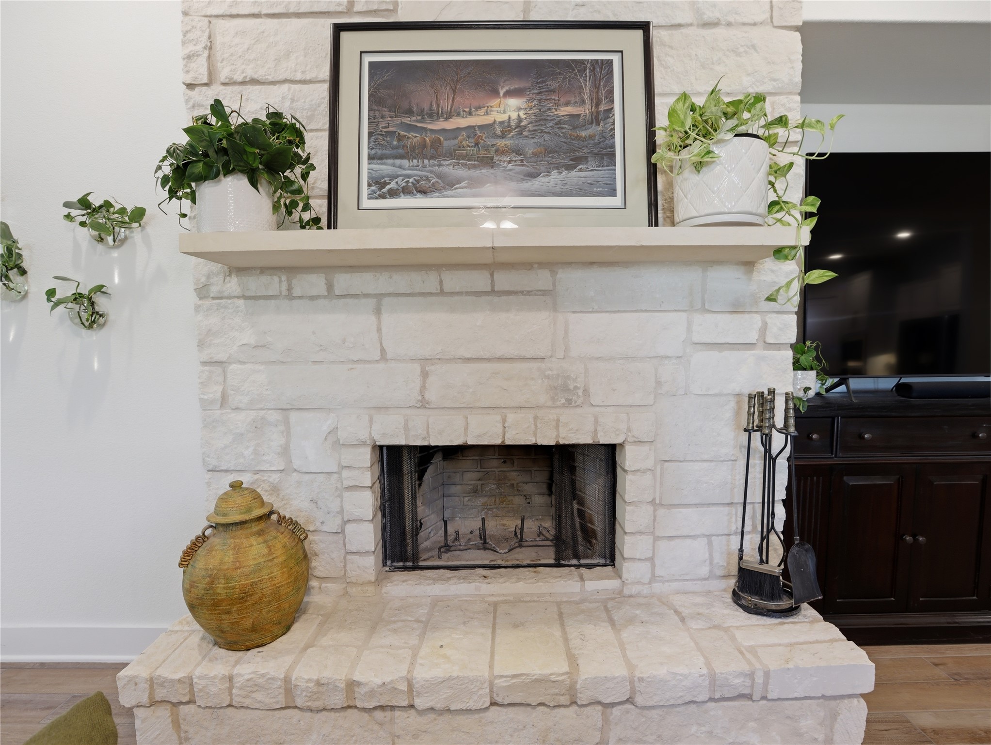 316 Raptor Beak Way Cedar Creek, TX 78612 - Photo 11 of 30 a living room with a fireplace and potted plant