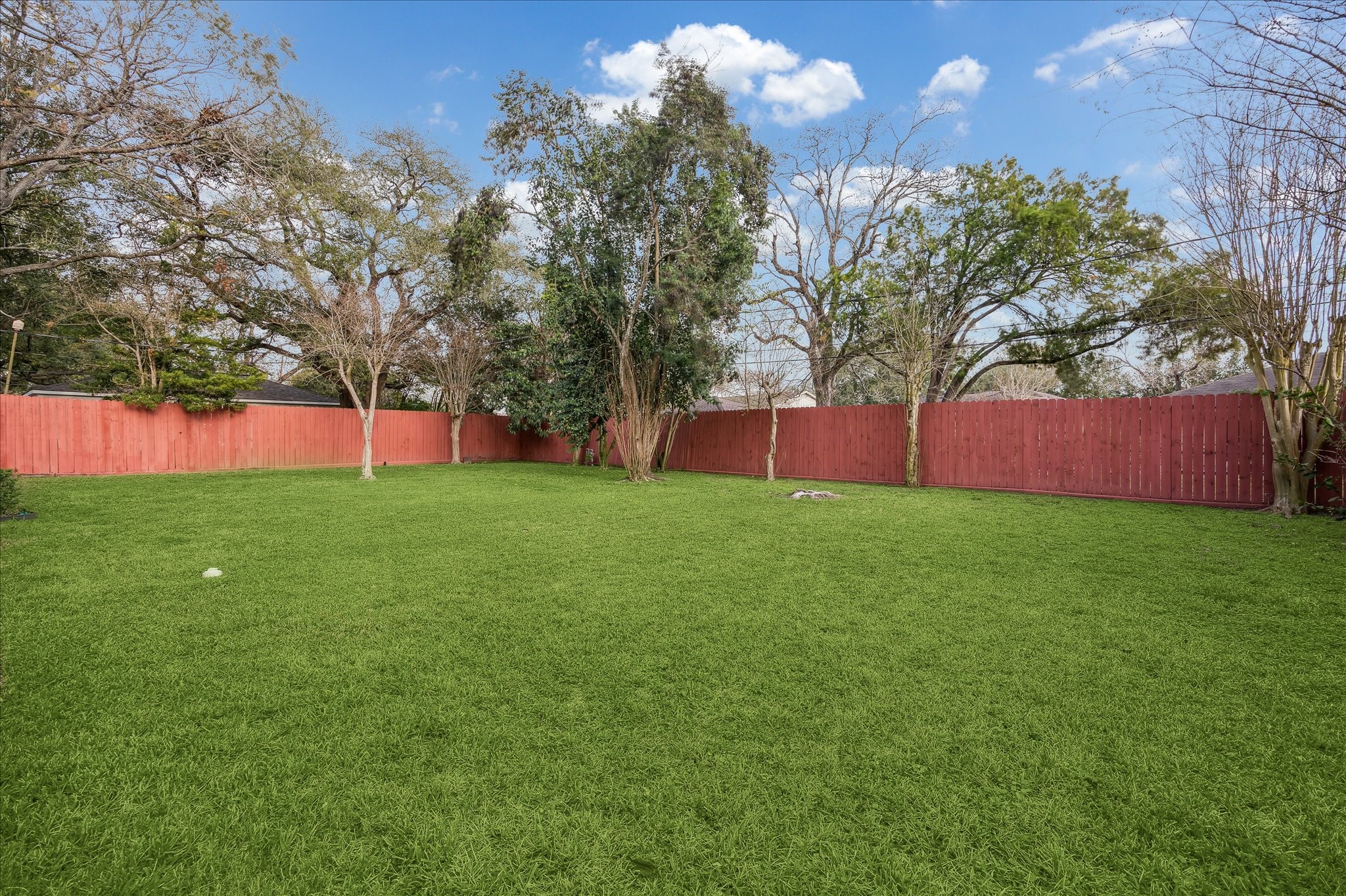 11519 Endicott Lane Houston, TX 77035 - Photo 22 of 25 a view of a backyard with large trees