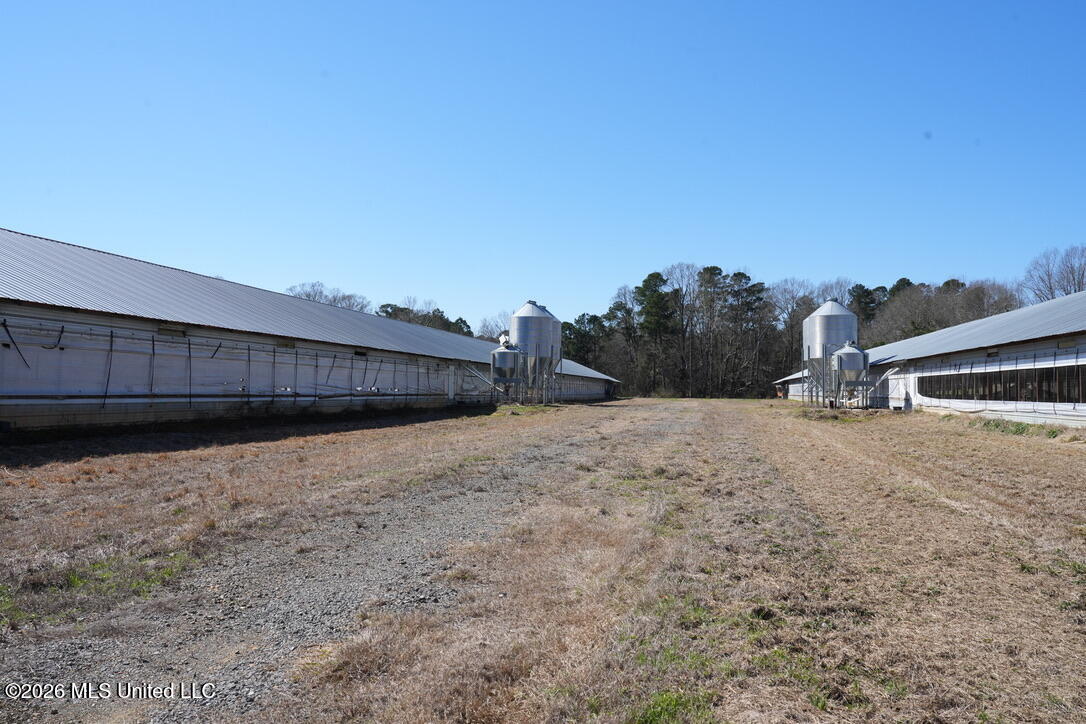 3037 Hickory Fellowship Road Hickory, MS 39332 - Photo 12 of 38 239CCC80-B6DA-4A93-B3EC-84C0A2E22840_1_1
