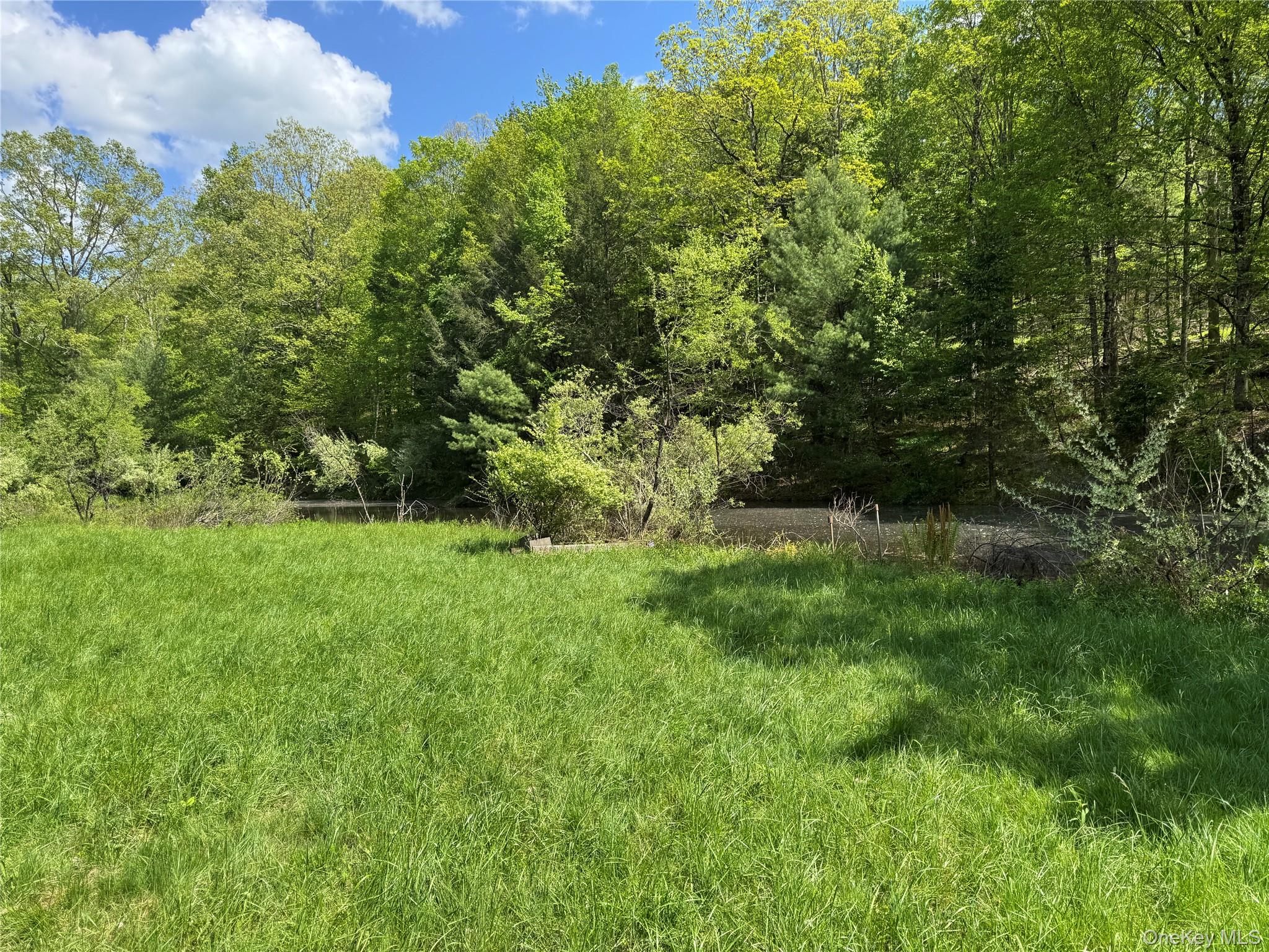 632 New Turnpike Road Cochecton, NY 12726 - Photo 12 of 28 a view of outdoor space and yard