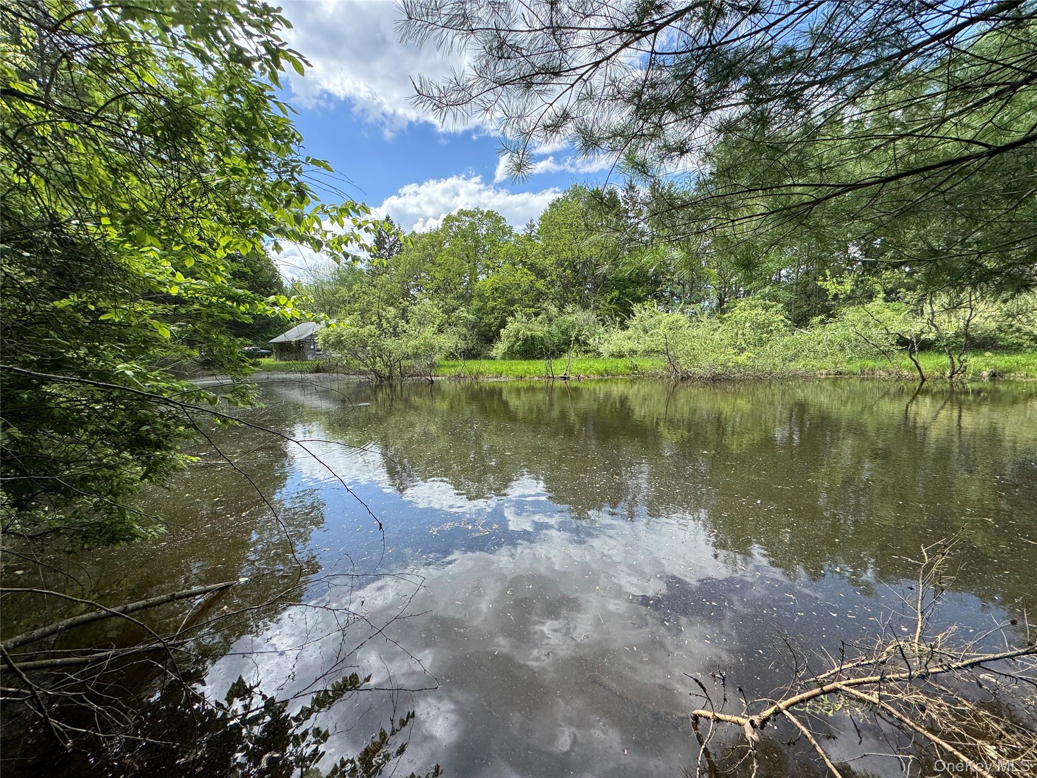 632 New Turnpike Road Cochecton, NY 12726 - Photo 13 of 28 a view of a lake with a yard and mountain view