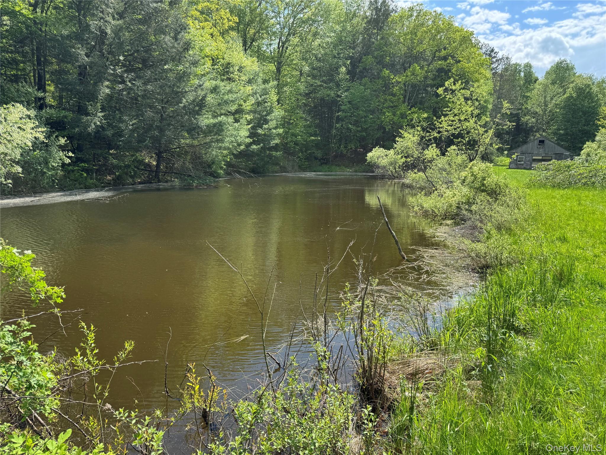 632 New Turnpike Road Cochecton, NY 12726 - Photo 14 of 28 a view of lake
