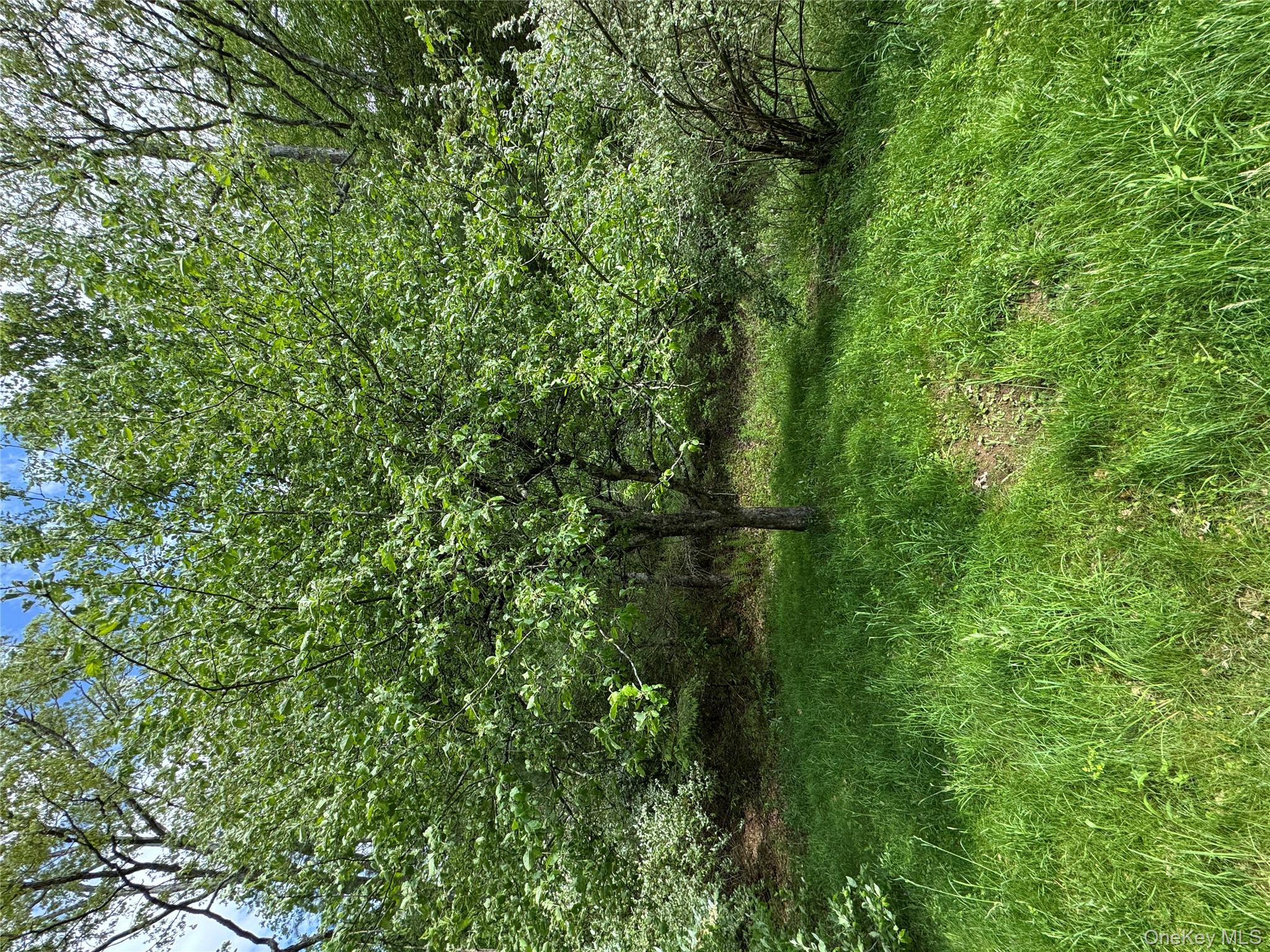 632 New Turnpike Road Cochecton, NY 12726 - Photo 15 of 28