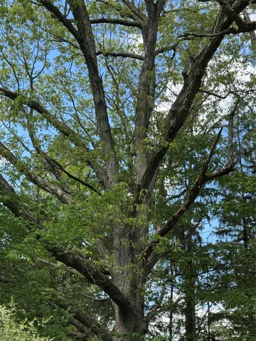 a view of outdoor space with deck and yard