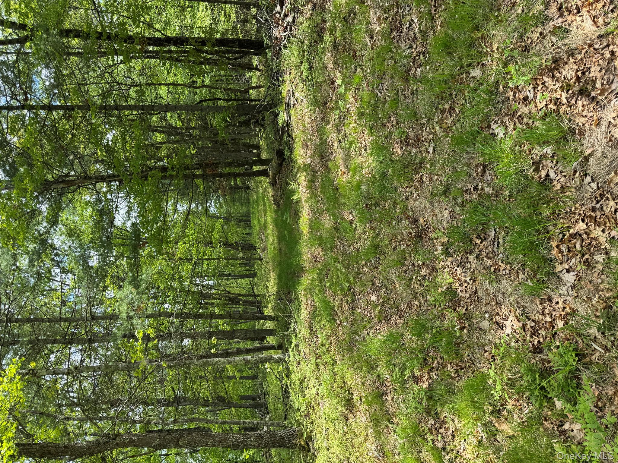 632 New Turnpike Road Cochecton, NY 12726 - Photo 20 of 28 a view of outdoor space with deck and yard