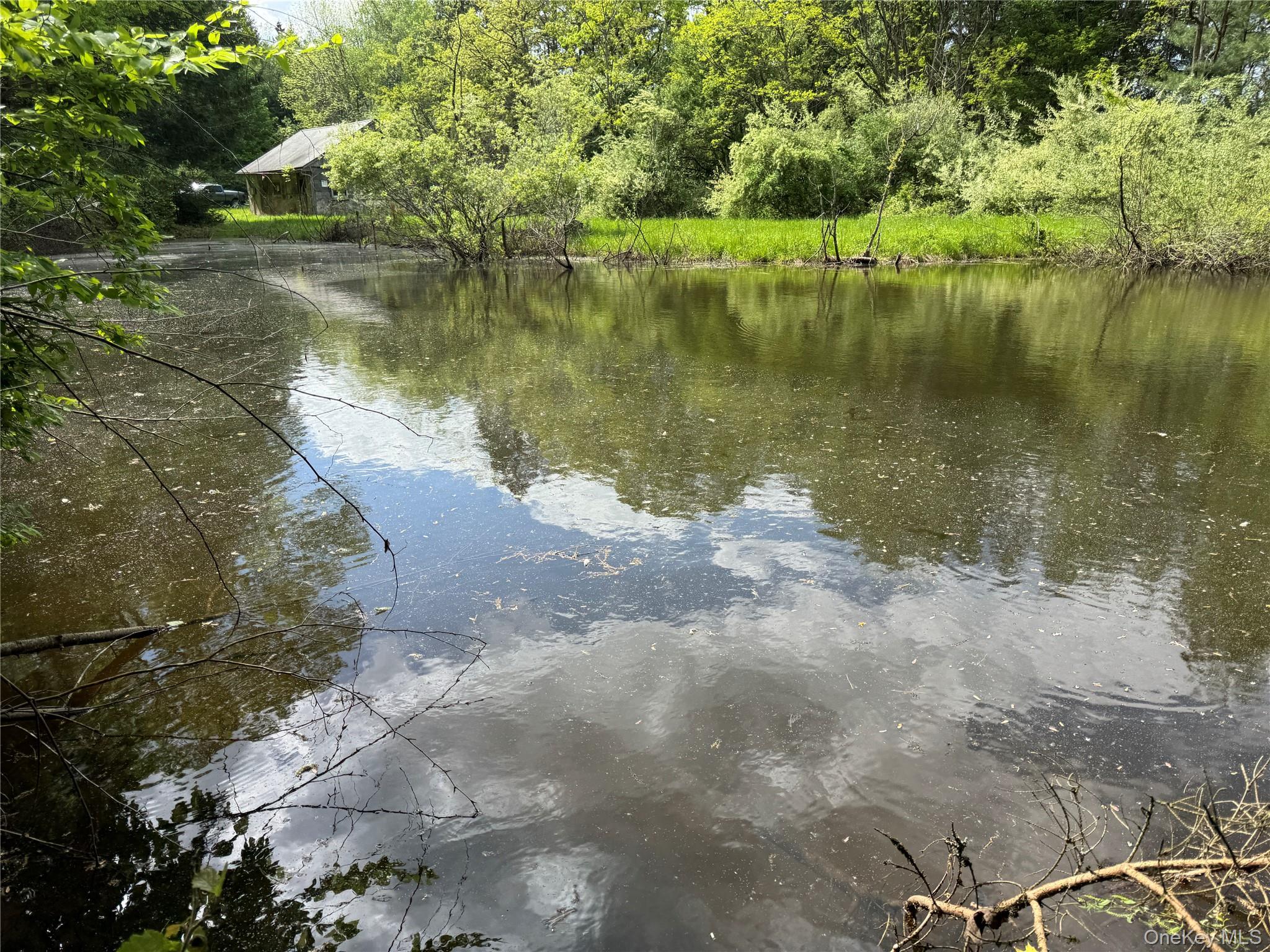 632 New Turnpike Road Cochecton, NY 12726 - Photo 2 of 28 a view of a lake view with a large trees