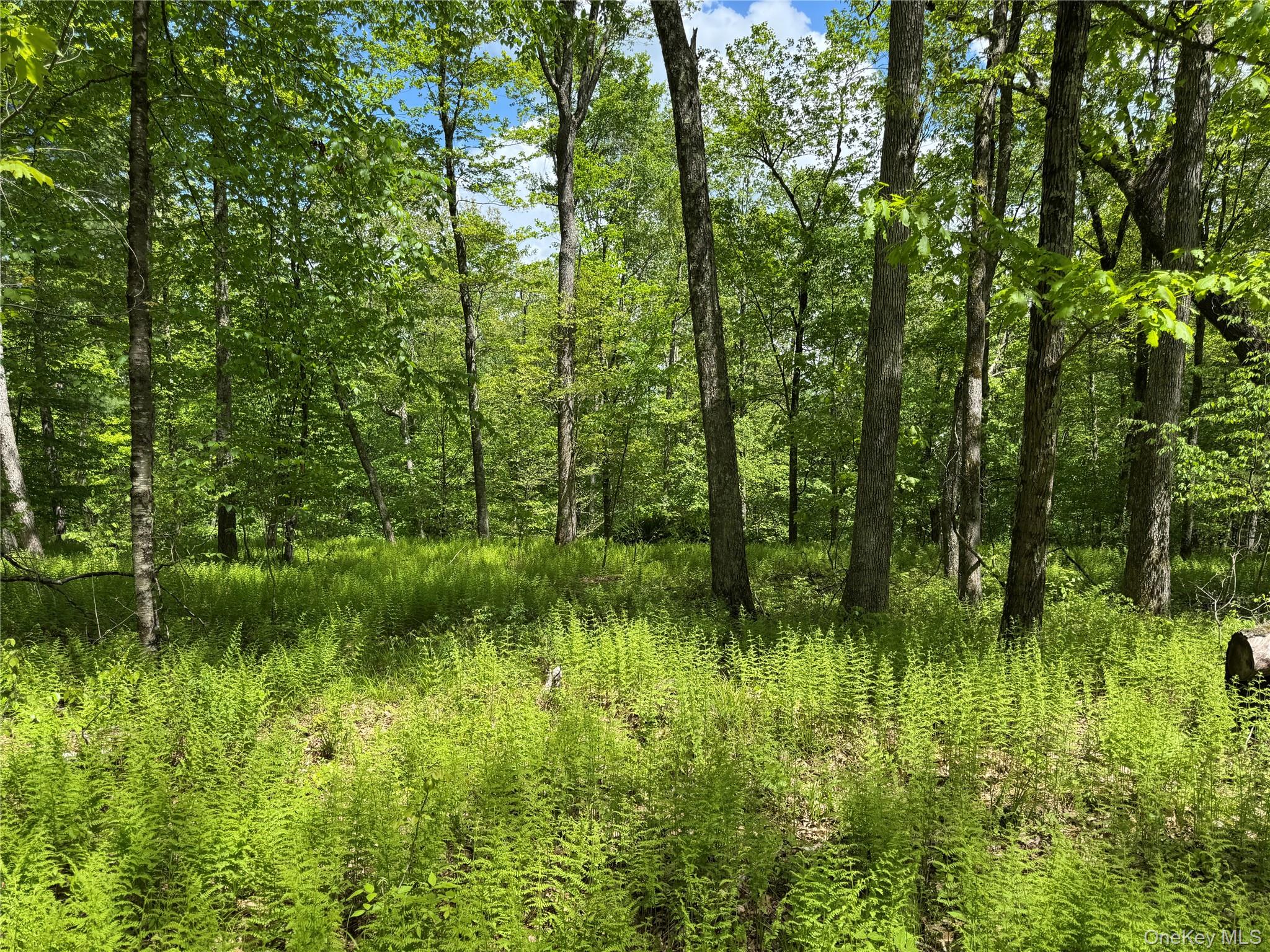 632 New Turnpike Road Cochecton, NY 12726 - Photo 21 of 28 a backyard of a house with lots of green space and mountain view