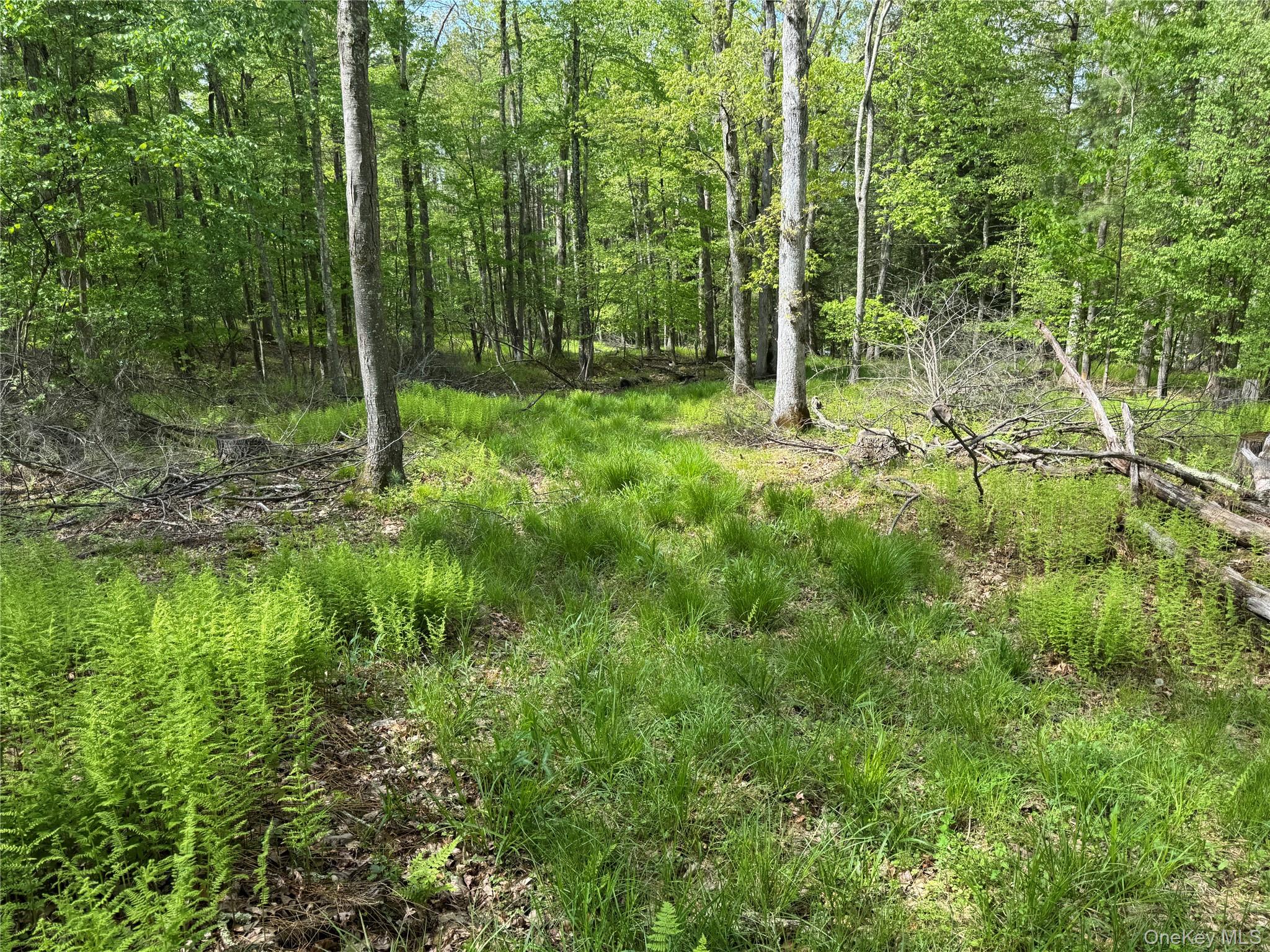 632 New Turnpike Road Cochecton, NY 12726 - Photo 23 of 28 a view of outdoor space and yard