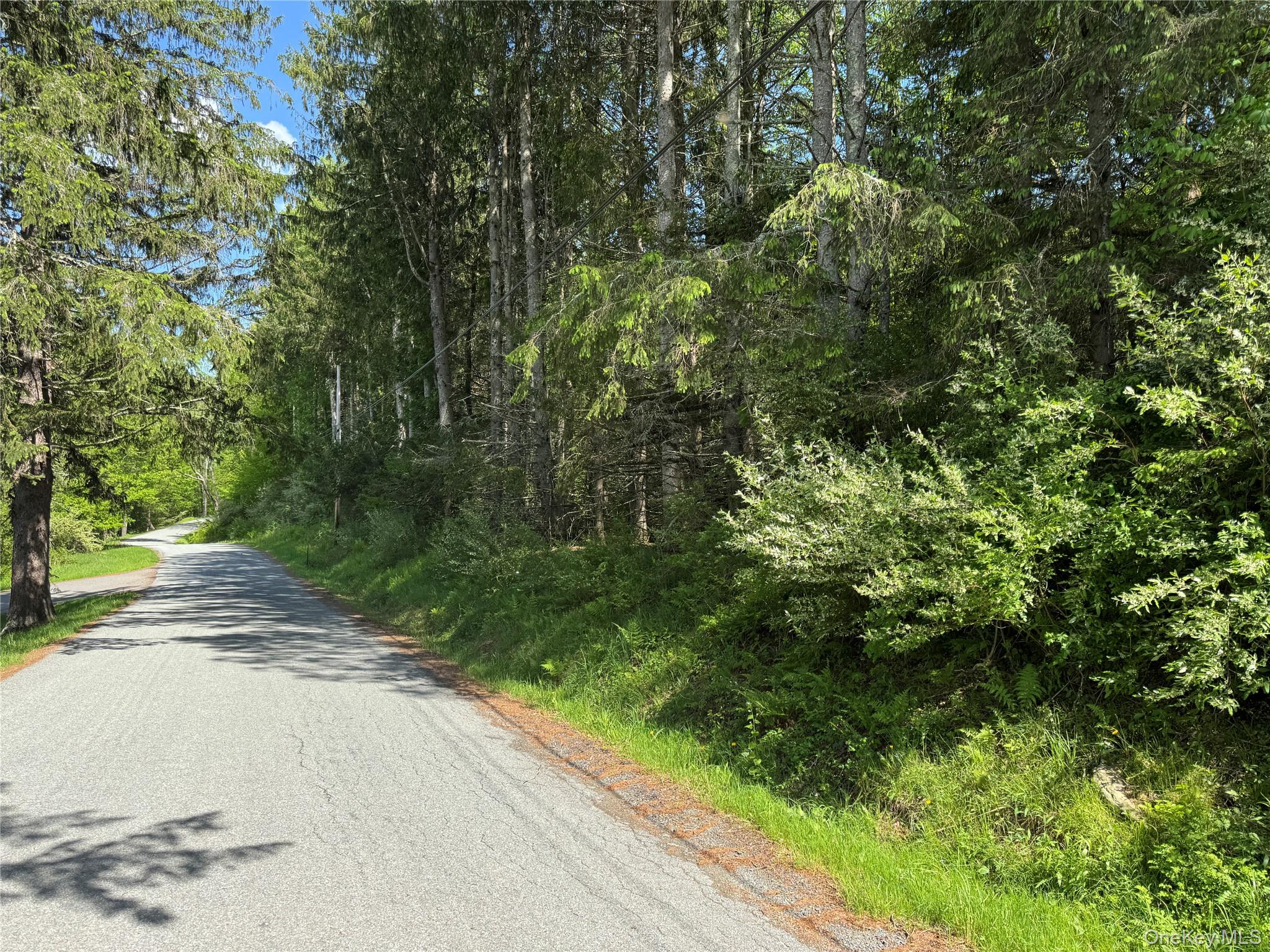 632 New Turnpike Road Cochecton, NY 12726 - Photo 26 of 28 a view of a garden