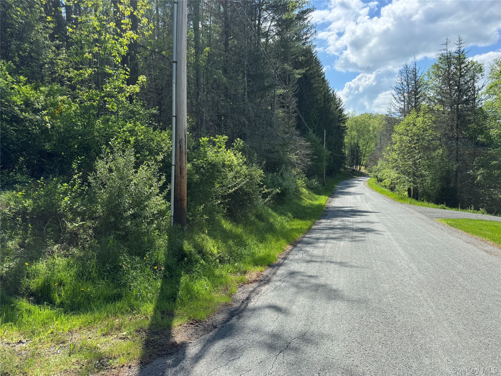 632 New Turnpike Road Cochecton, NY 12726 - Photo 27 of 28 a view of a pathway of a park