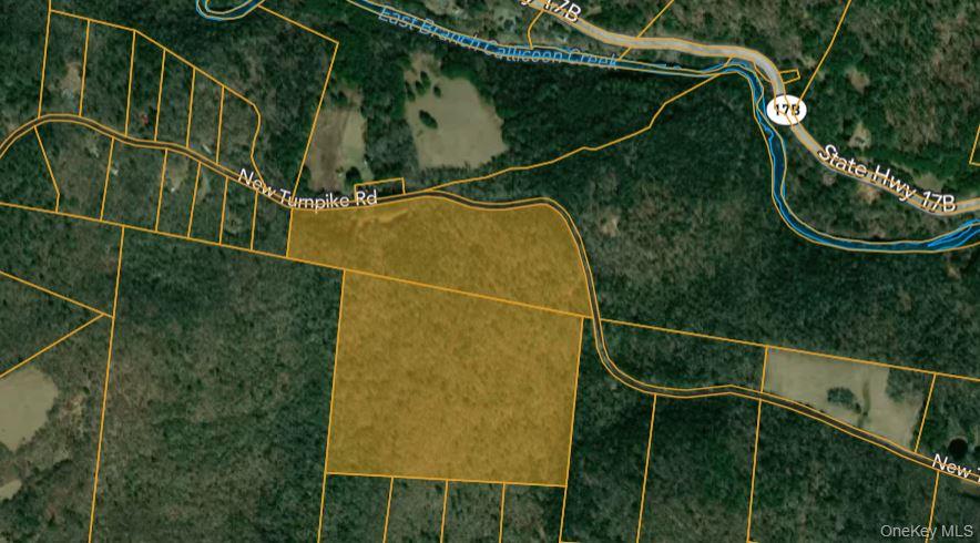 632 New Turnpike Road Cochecton, NY 12726 - Photo 28 of 28 a view of a yard