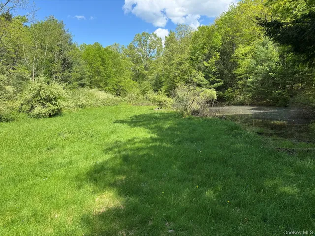 a view of a lush green space