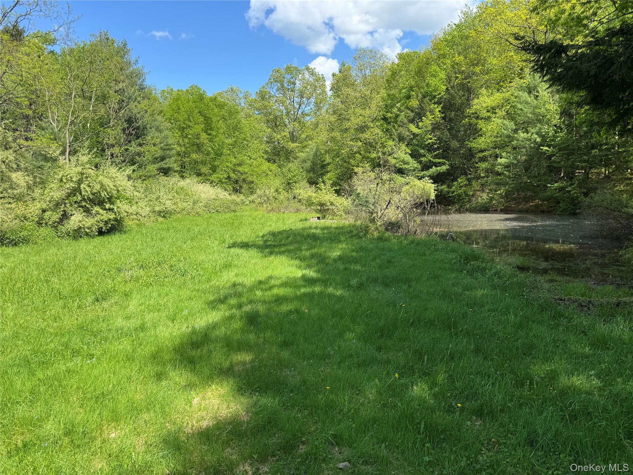 632 New Turnpike Road Cochecton, NY 12726 - Photo 4 of 28 a view of a lush green space