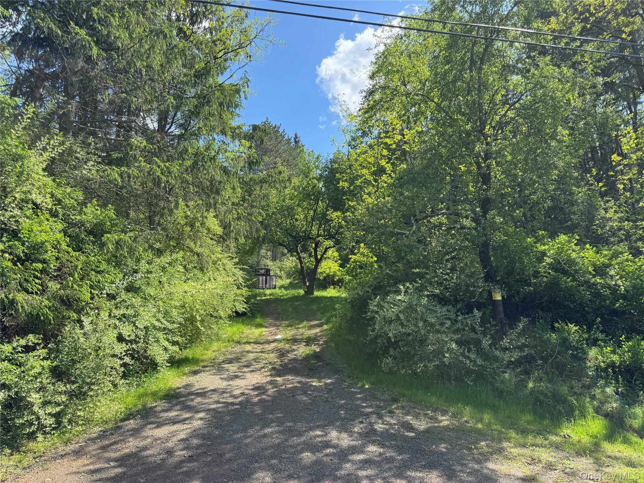 632 New Turnpike Road Cochecton, NY 12726 - Photo 6 of 28 a view of a yard with plants and a bench