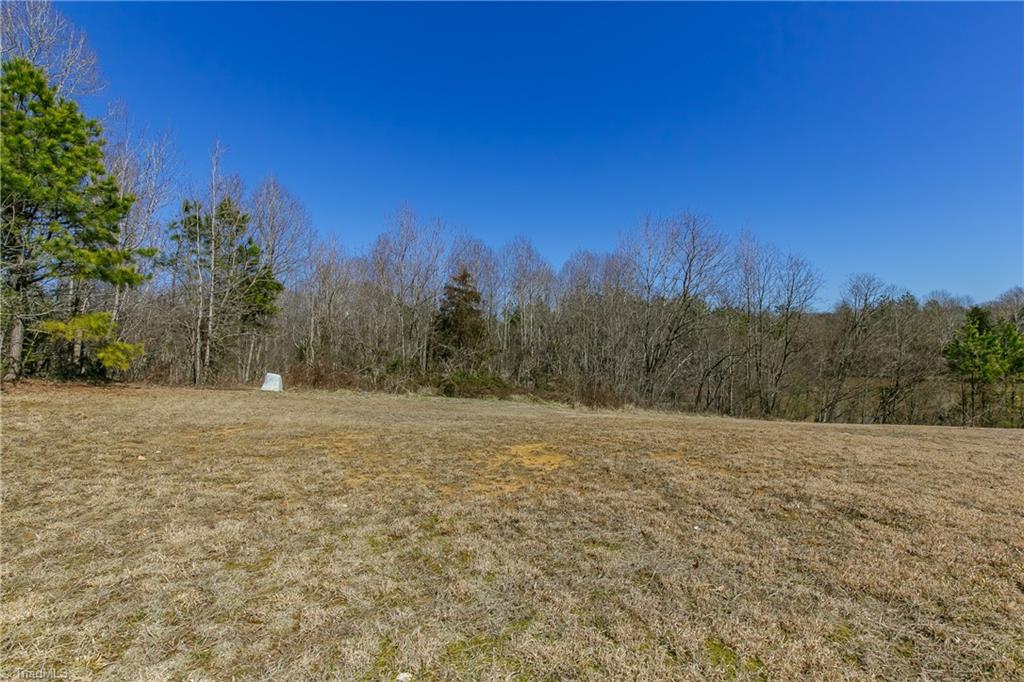 6052 David Moore Road Elon, NC 27244 - Photo 26 of 30 ENDLESS possibilities for this 8.5 acre lot