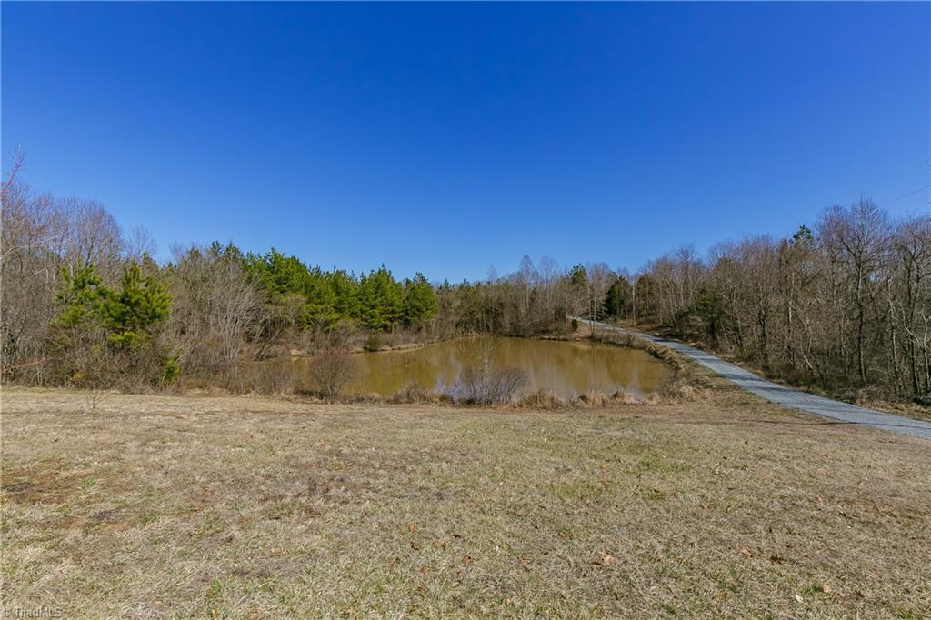 6052 David Moore Road Elon, NC 27244 - Photo 29 of 30 Tranquility and privacy in large lot and the border of trees surrounding this home