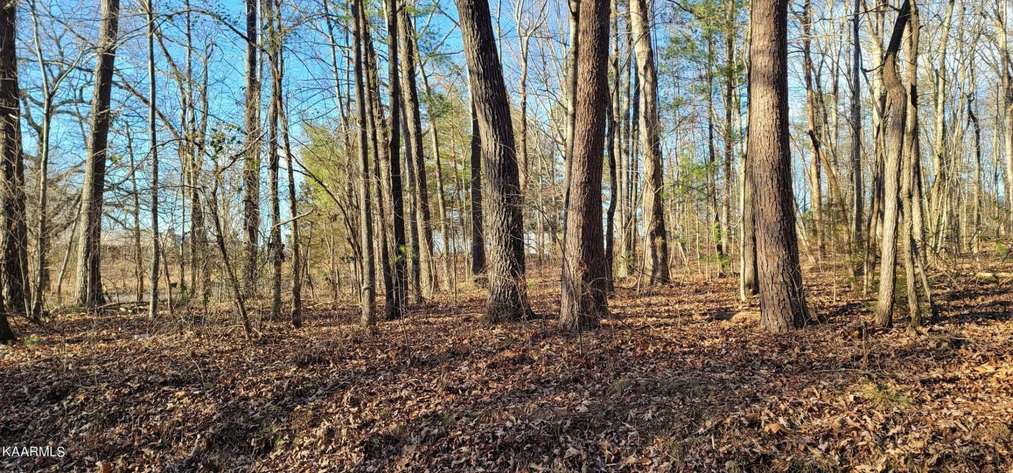 5 Boyd Road Benton, TN 37307 - Photo 1 of 7 Gallery Image 1