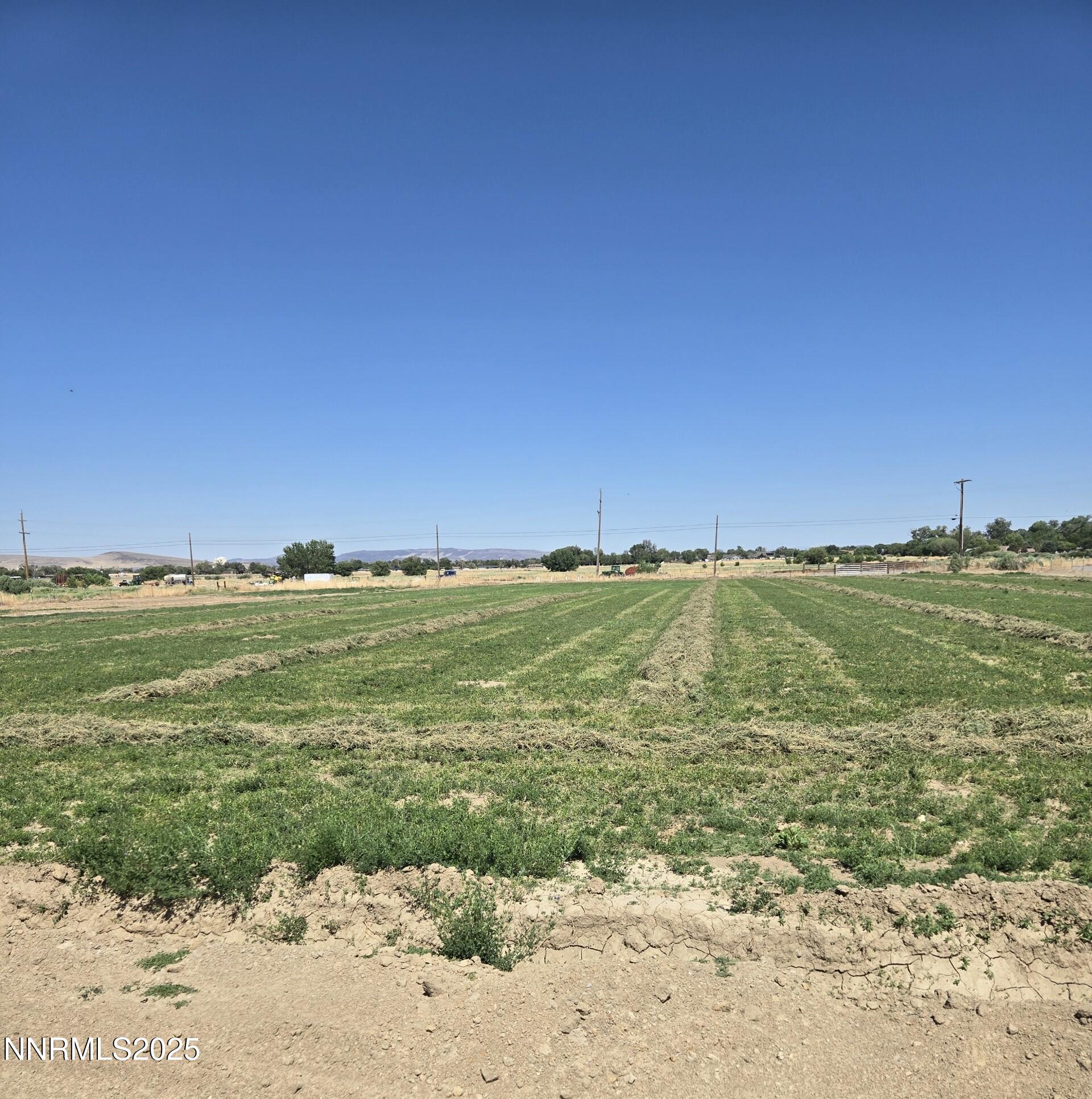900 Cattle Circle Fernley, NV 89408 - Photo 18 of 21 TOM CUT HAY 25