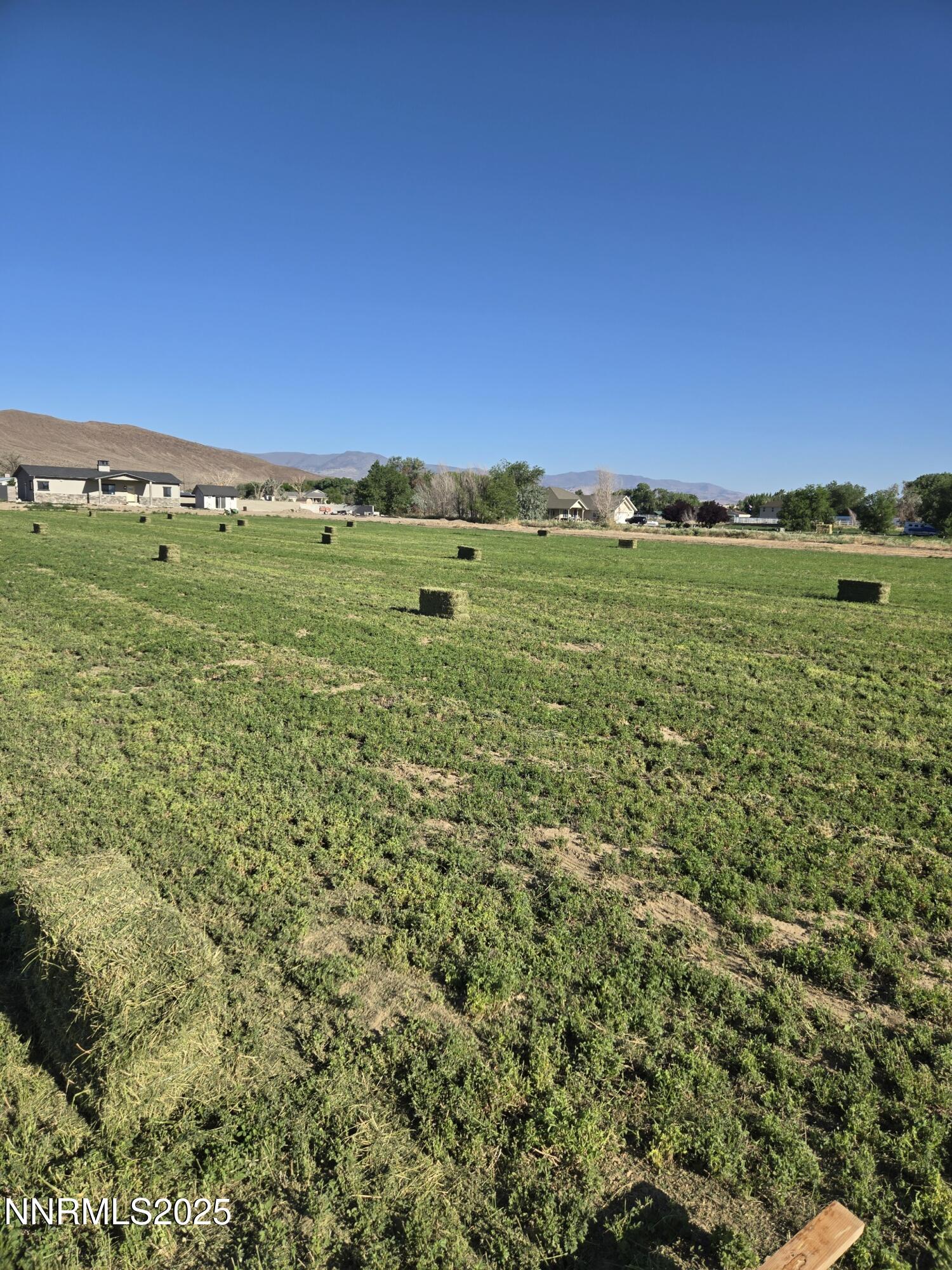 900 Cattle Circle Fernley, NV 89408 - Photo 19 of 21 TOM HAY BALED 25