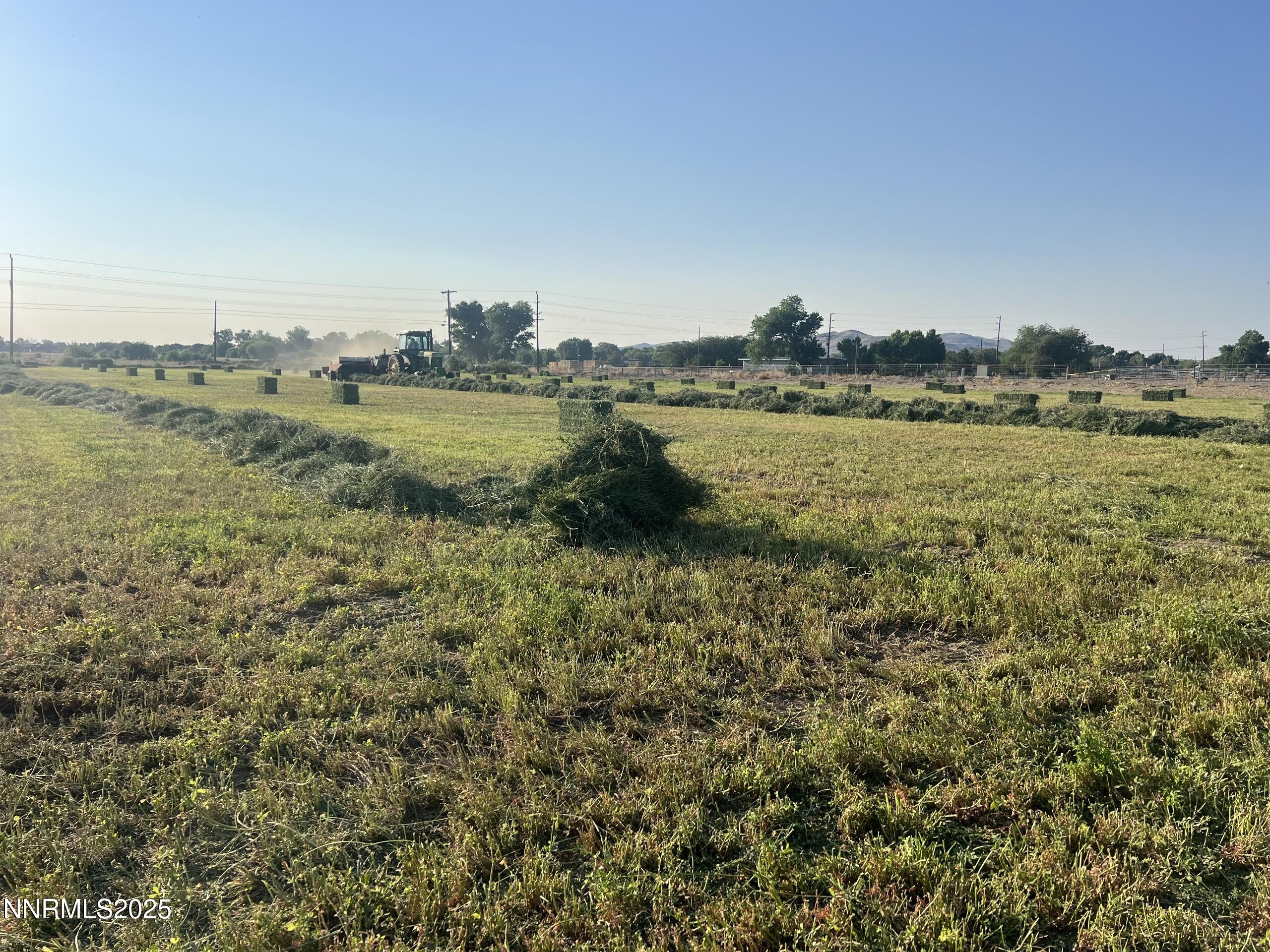 900 Cattle Circle Fernley, NV 89408 - Photo 20 of 21 Resized_IMG_0656