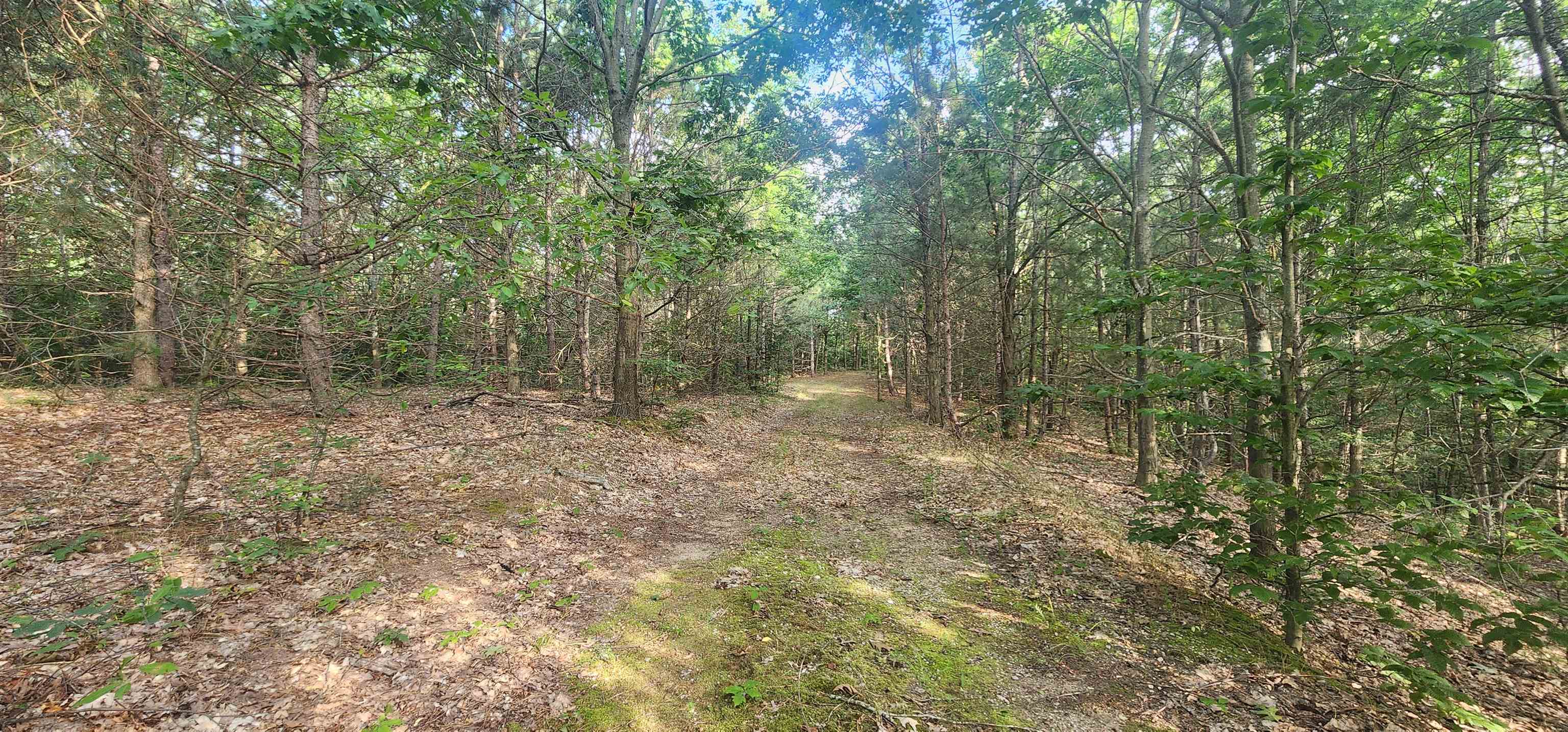 0 West Phelps Road Manton, MI 49663 - Photo 3 of 12