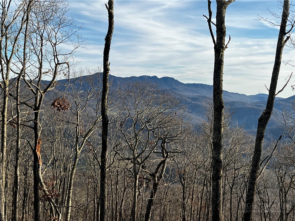 a view of a yard with an trees