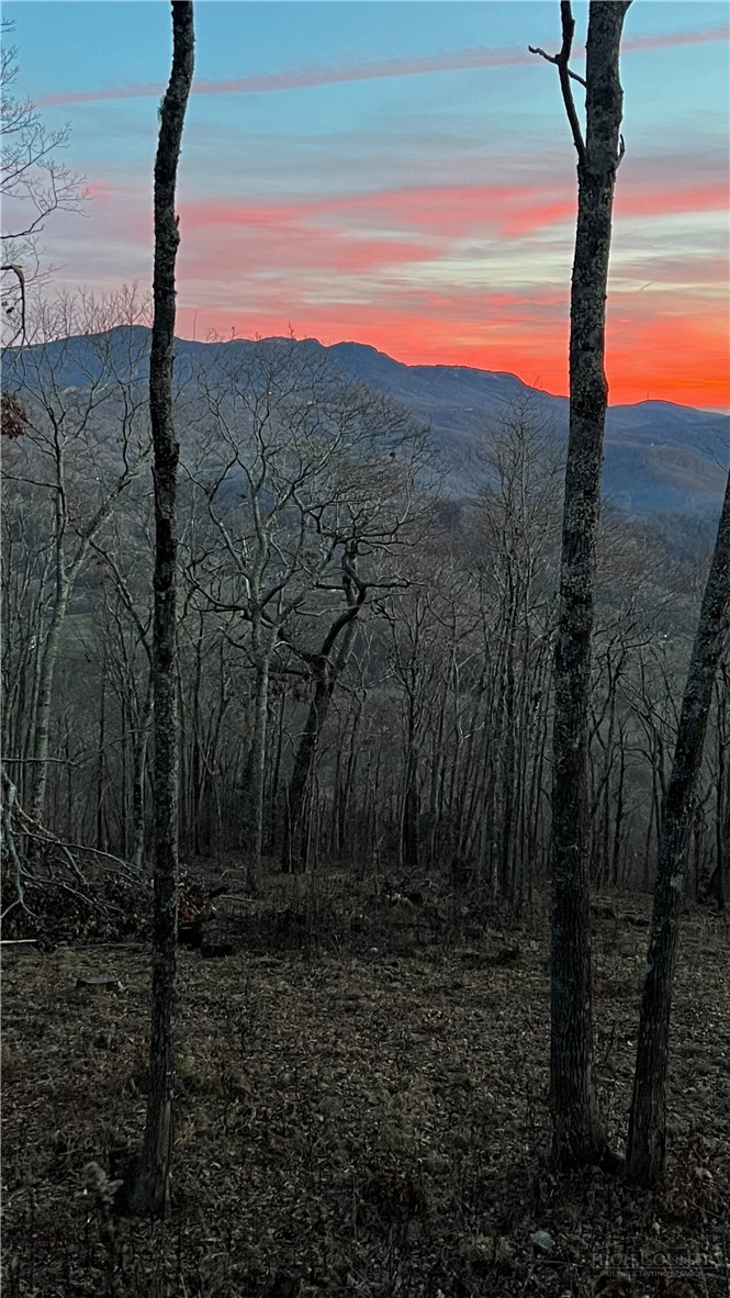 Lot 3 Chappell Farm Road Banner Elk, NC 28604 - Photo 11 of 27 a view of a yard with an outdoor space