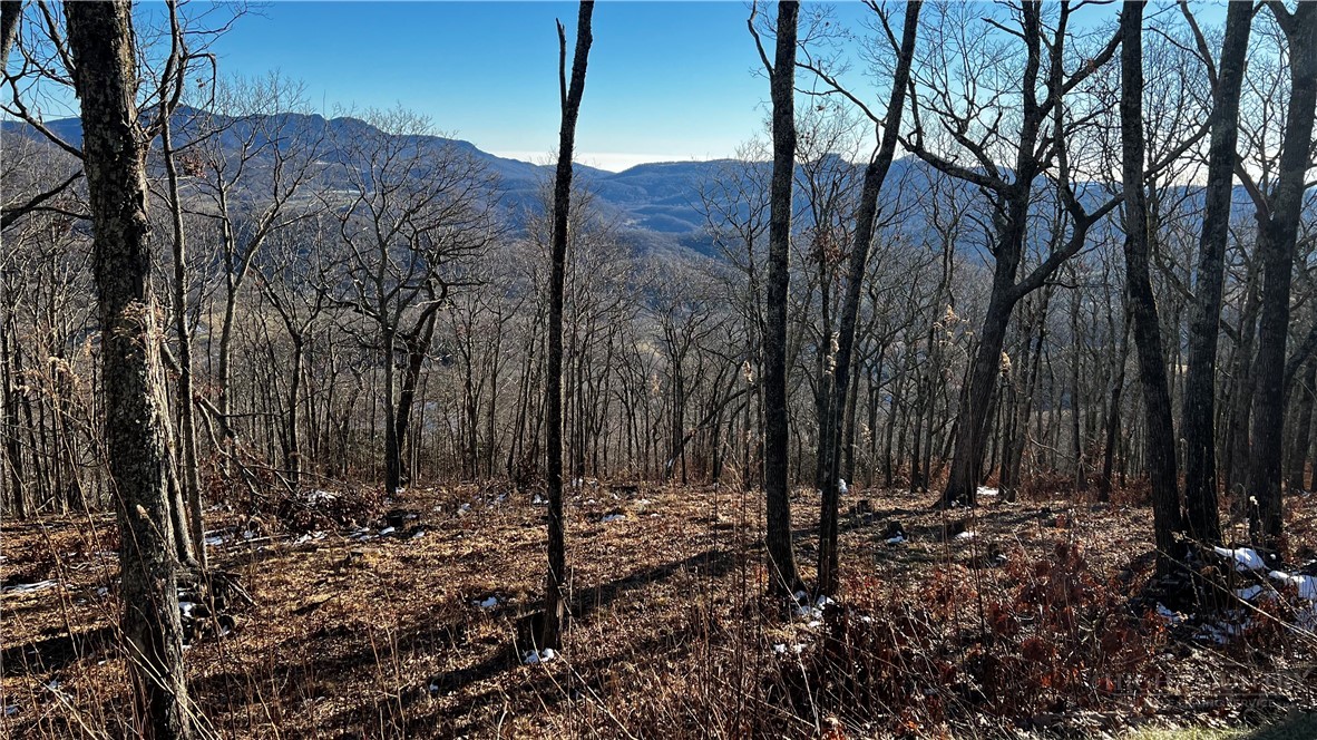 Lot 3 Chappell Farm Road Banner Elk, NC 28604 - Photo 12 of 27 a view of a forest