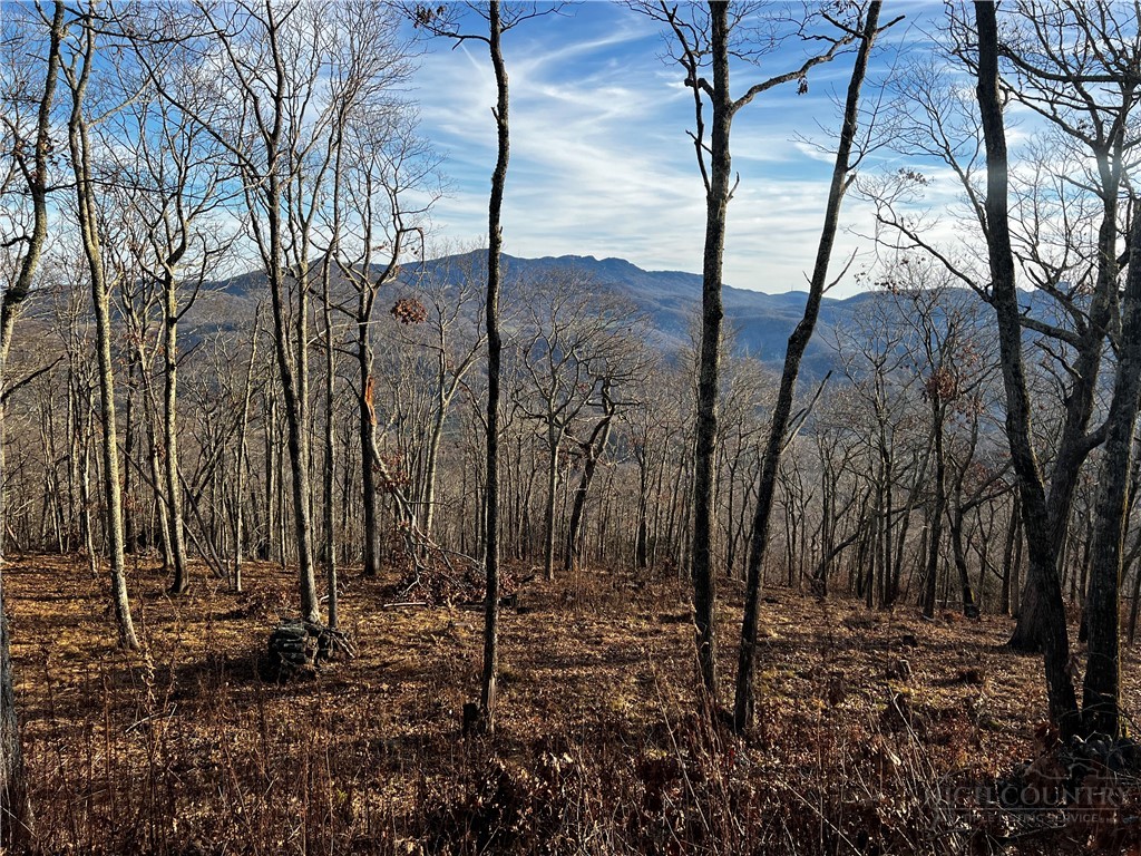 Lot 3 Chappell Farm Road Banner Elk, NC 28604 - Photo 13 of 27 a view of a yard