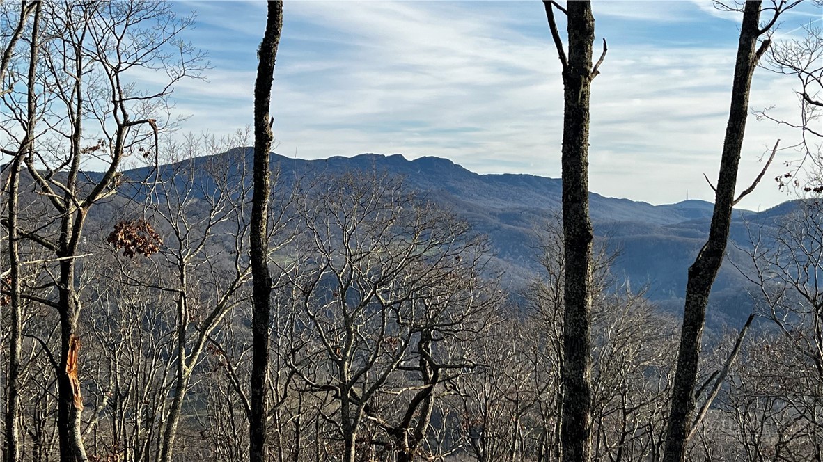 Lot 3 Chappell Farm Road Banner Elk, NC 28604 - Photo 14 of 27 a view of a yard with an ocean view