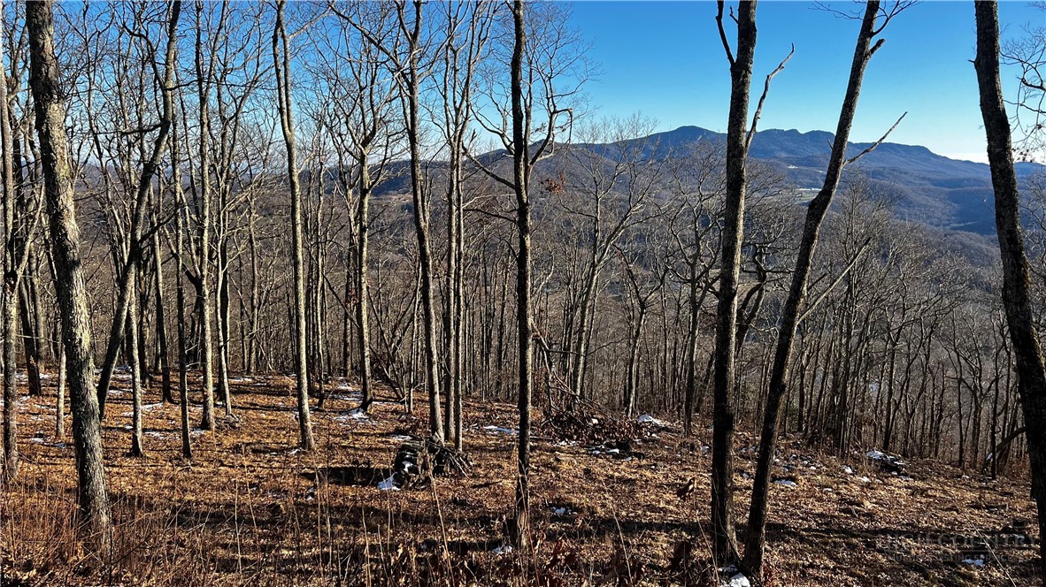 Lot 3 Chappell Farm Road Banner Elk, NC 28604 - Photo 15 of 27 a view of a backyard of the house