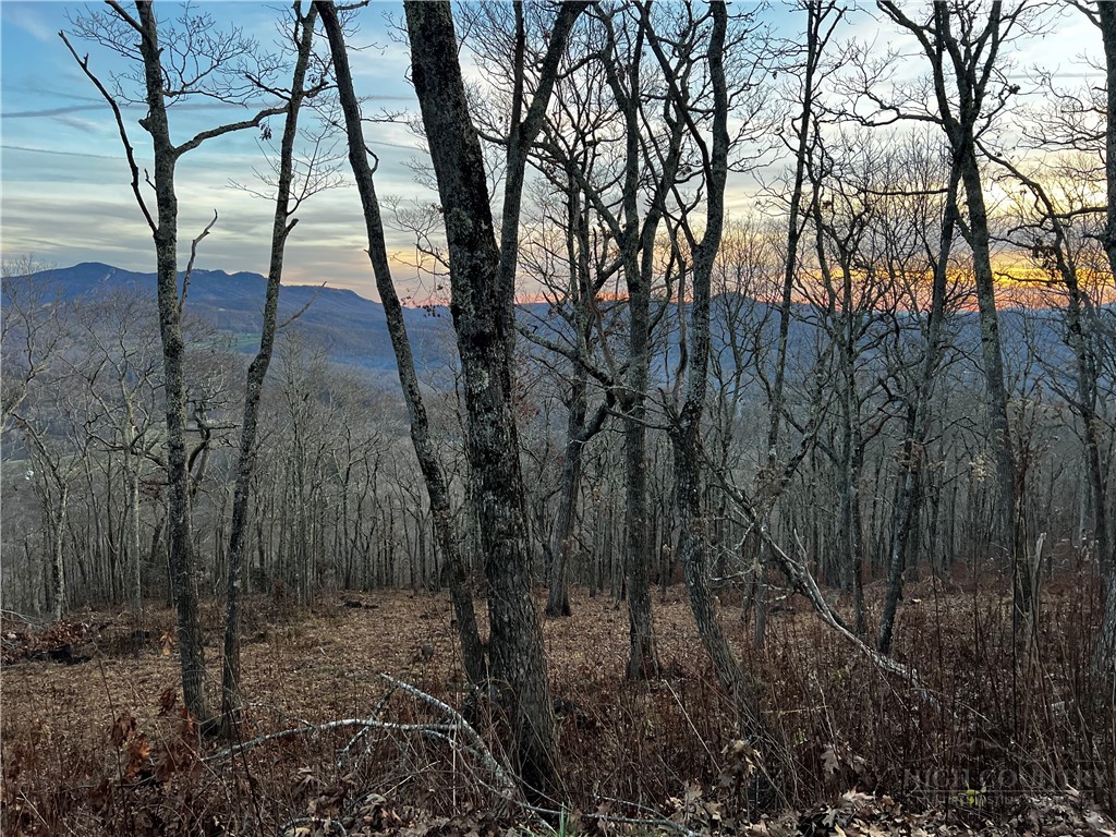 Lot 3 Chappell Farm Road Banner Elk, NC 28604 - Photo 18 of 27 a backyard of a house with lots of green space