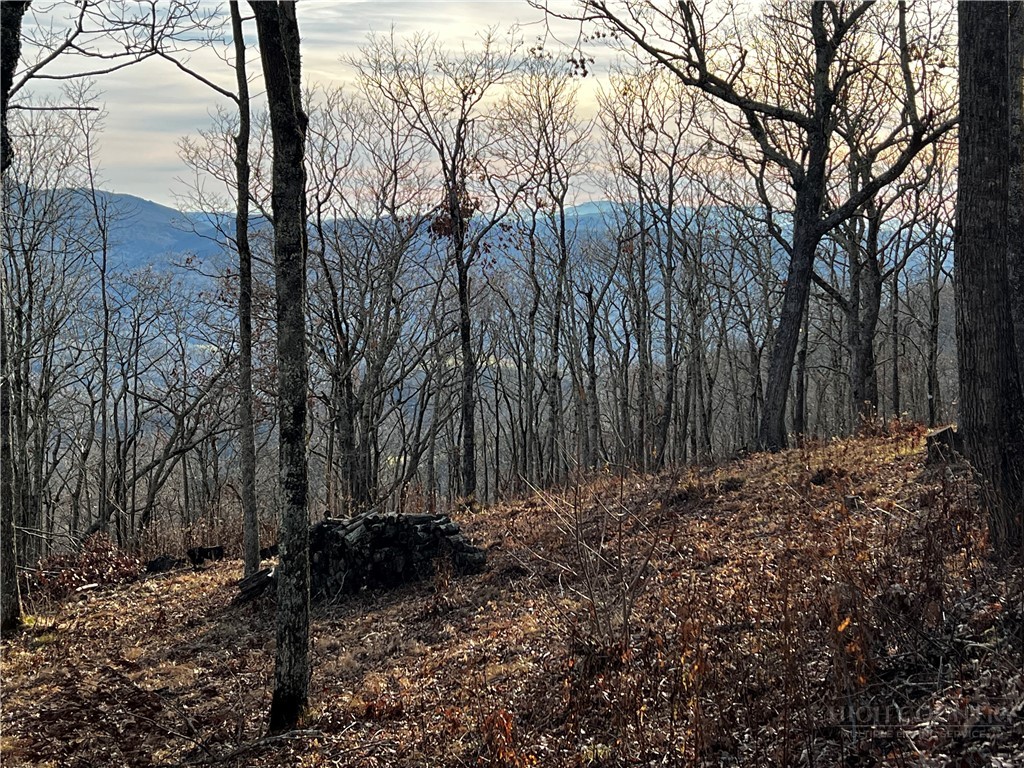 Lot 3 Chappell Farm Road Banner Elk, NC 28604 - Photo 19 of 27 a view of a backyard of the house