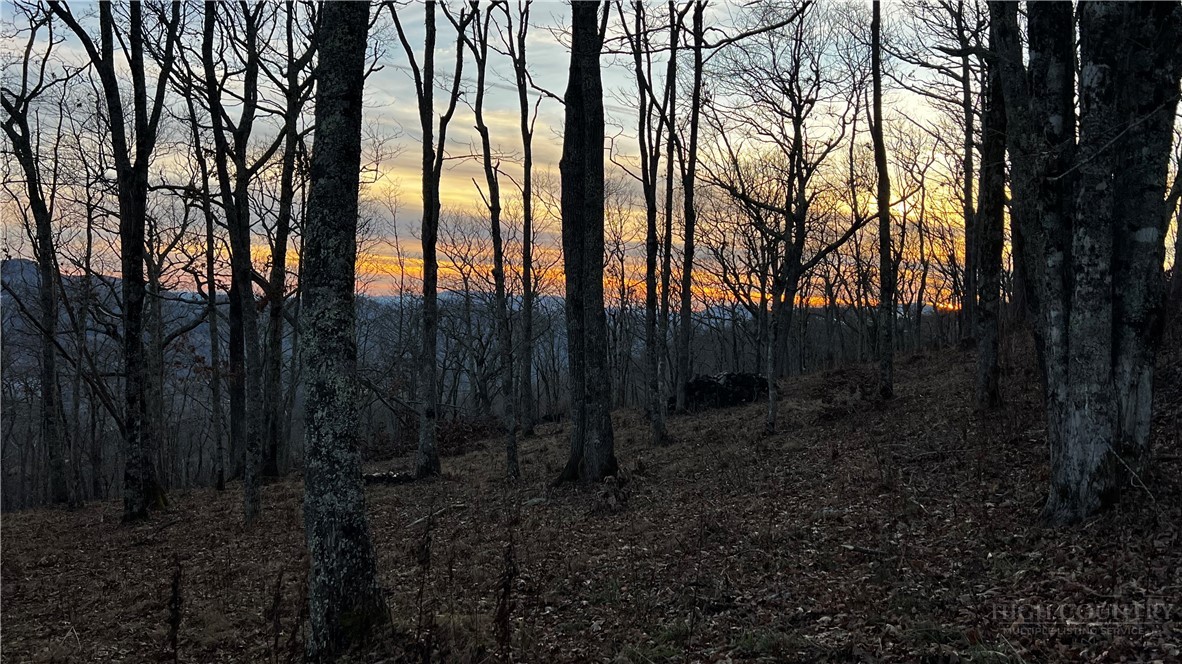 Lot 3 Chappell Farm Road Banner Elk, NC 28604 - Photo 20 of 27 a view of backyard with green space